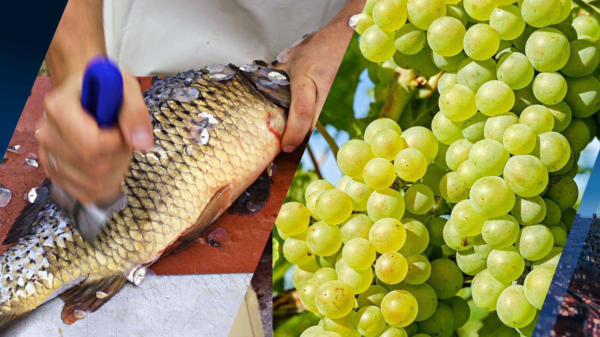 Opvallend 2024 in: deze (gekke) nieuwjaarstradities hebben ze in het buitenland