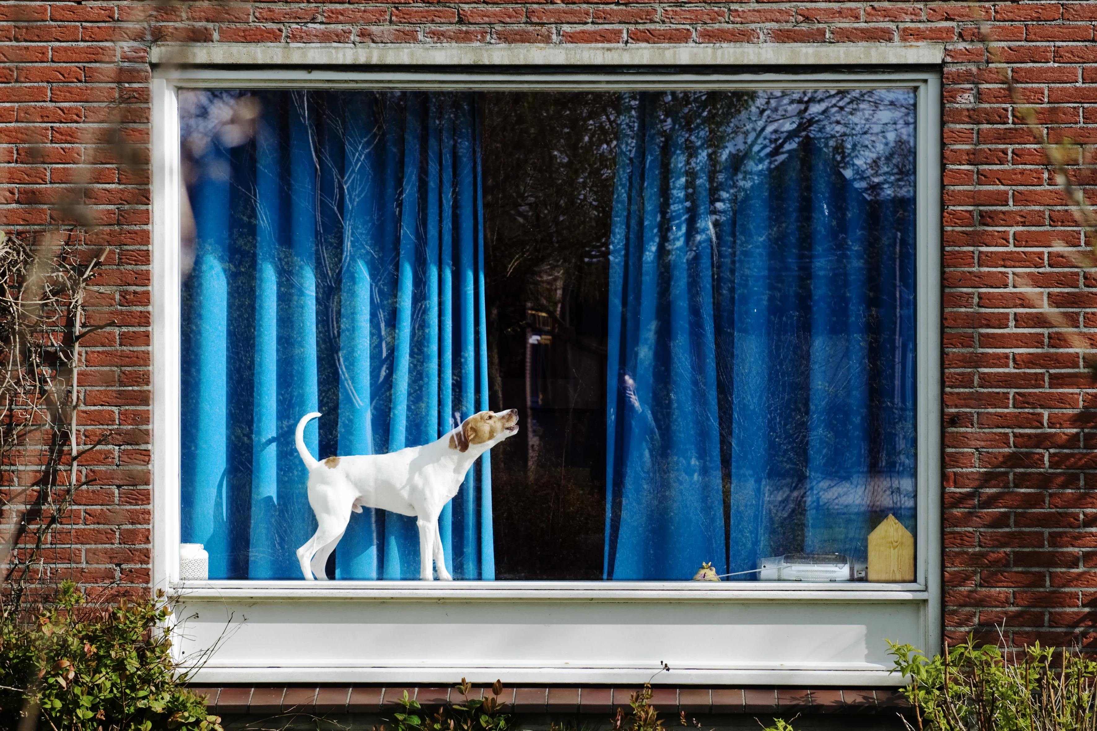 'Meer burenruzies door thuiswerken en thuis vakantie vieren'