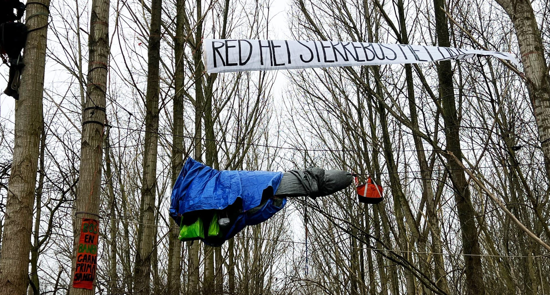 Laatste drie overgebleven bezetters Sterrebos houden het prima uit