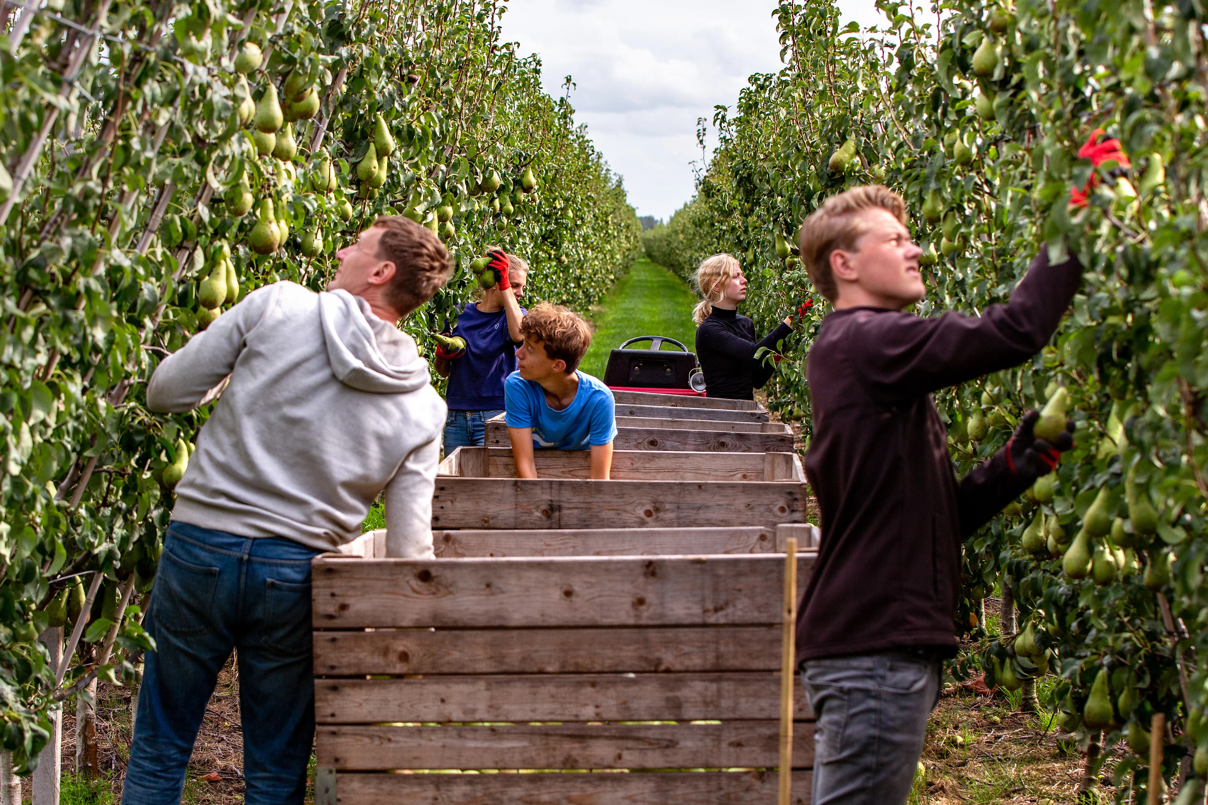 Invoering leenstelsel zorgt voor hogere leningen en inkomsten bijbaan