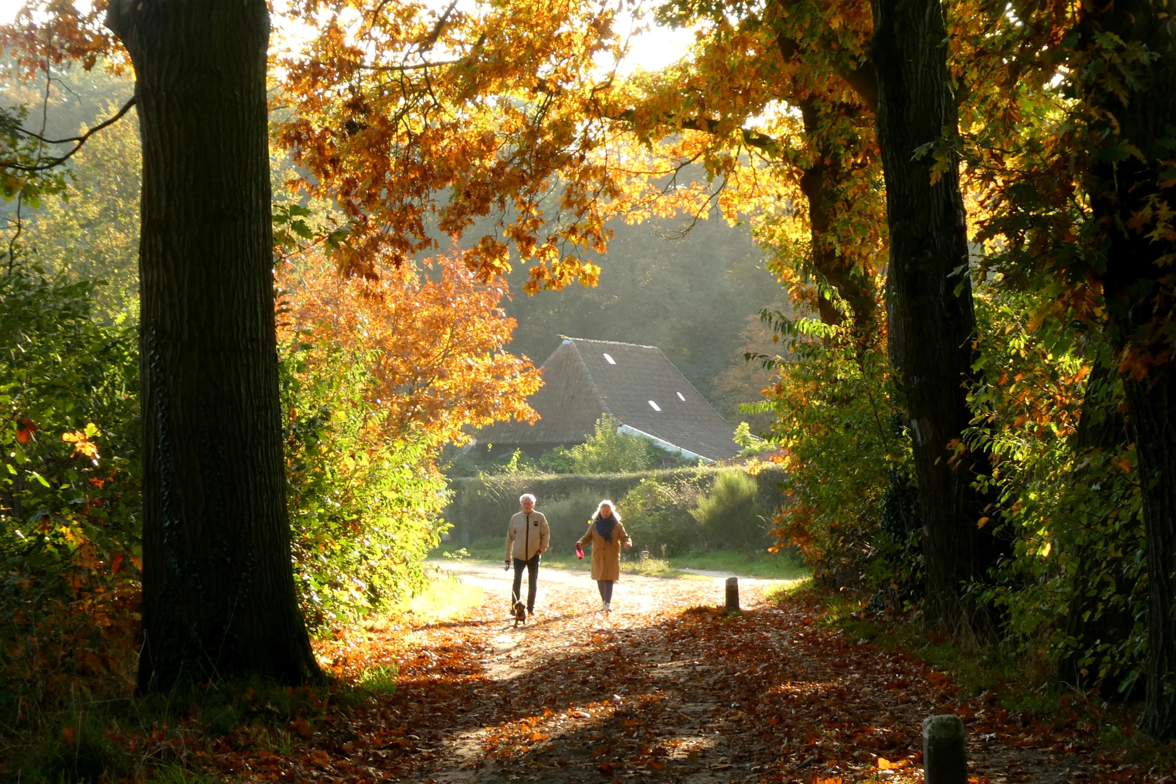 Ongekend warm voor 25 oktober: Eindhoven breekt record met 20 graden