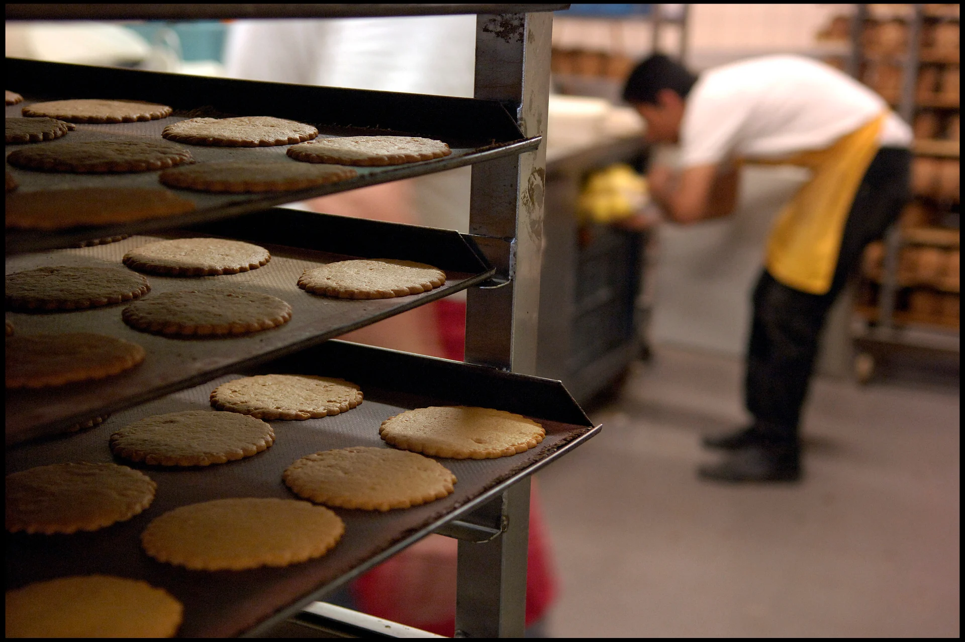 Jodenkoek omgedoopt tot Odekoek: 'Naam kan niet meer in deze tijd'