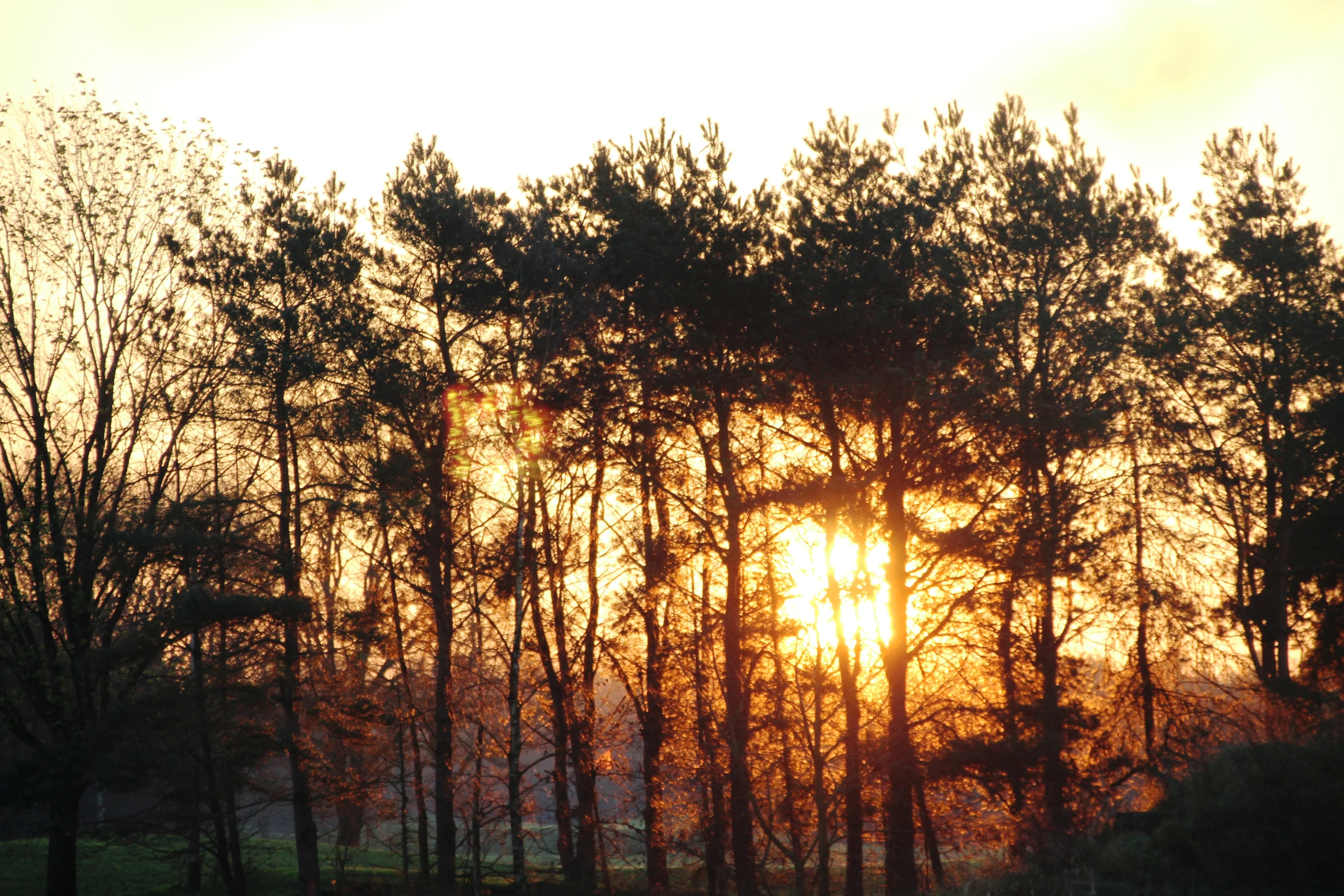 Vandaag op steeds meer plaatsen zonneschijn, hier een daar een bui