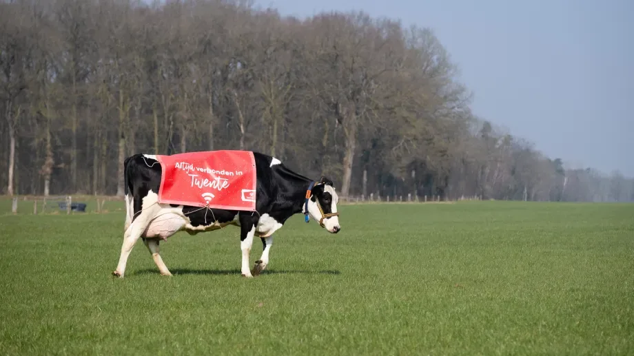 De leukste 1 aprilgrappen van 2021: van pizzasoep tot wifi-koe