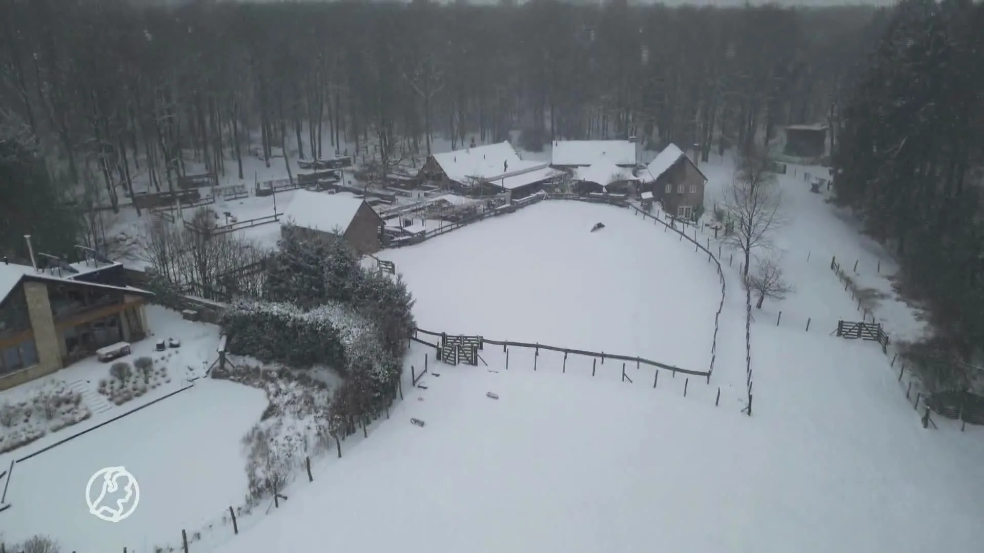 Onderwijs donderdag deels plat in Limburg vanwege zware sneeuwval