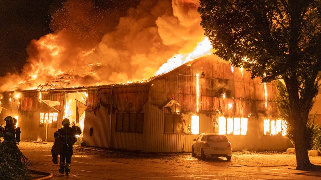Megabrand verwoest dierenwinkels Nieuw-Vennep: alle dieren dood