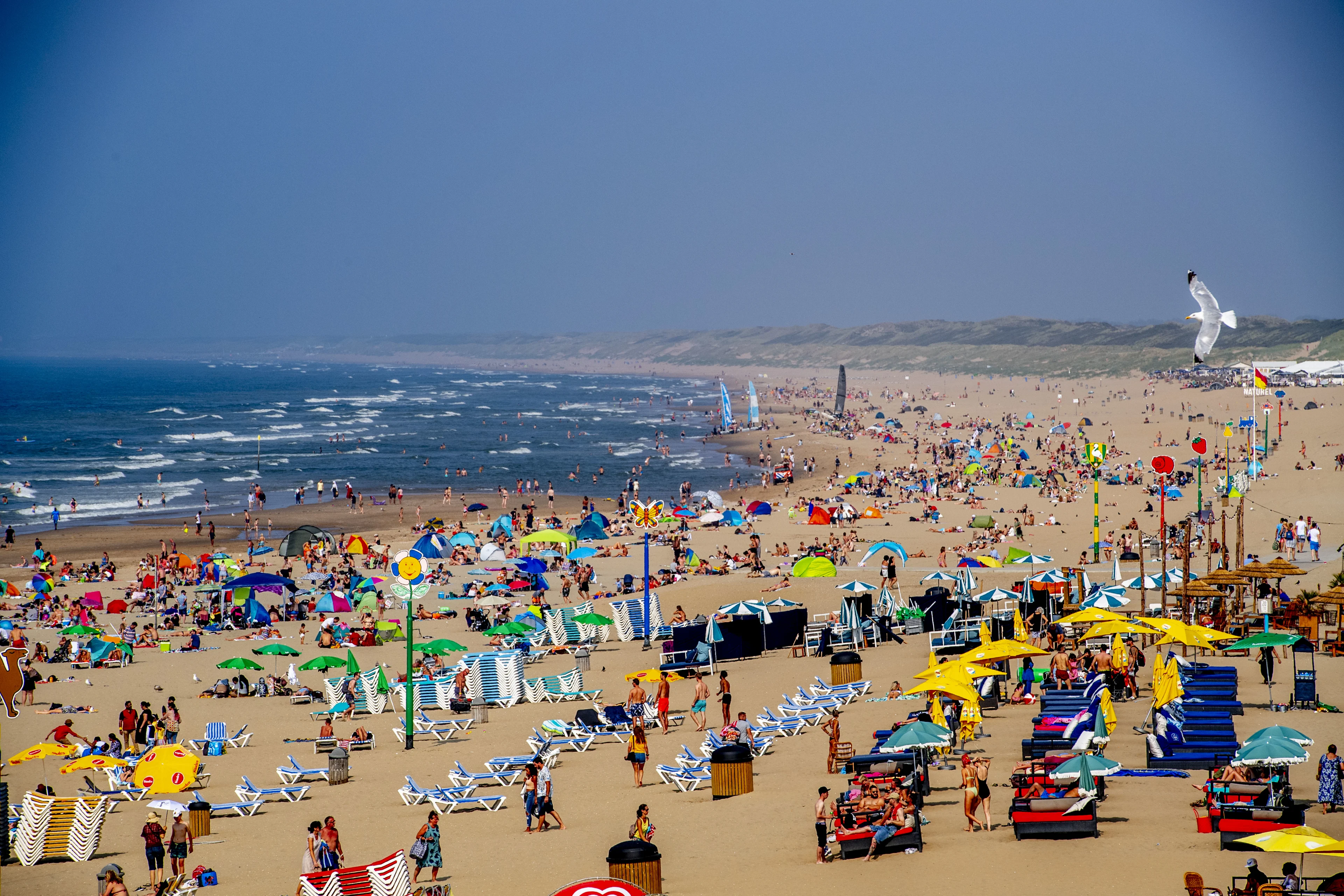 Mooie nazomer zorgt voor grote drukte op de stranden