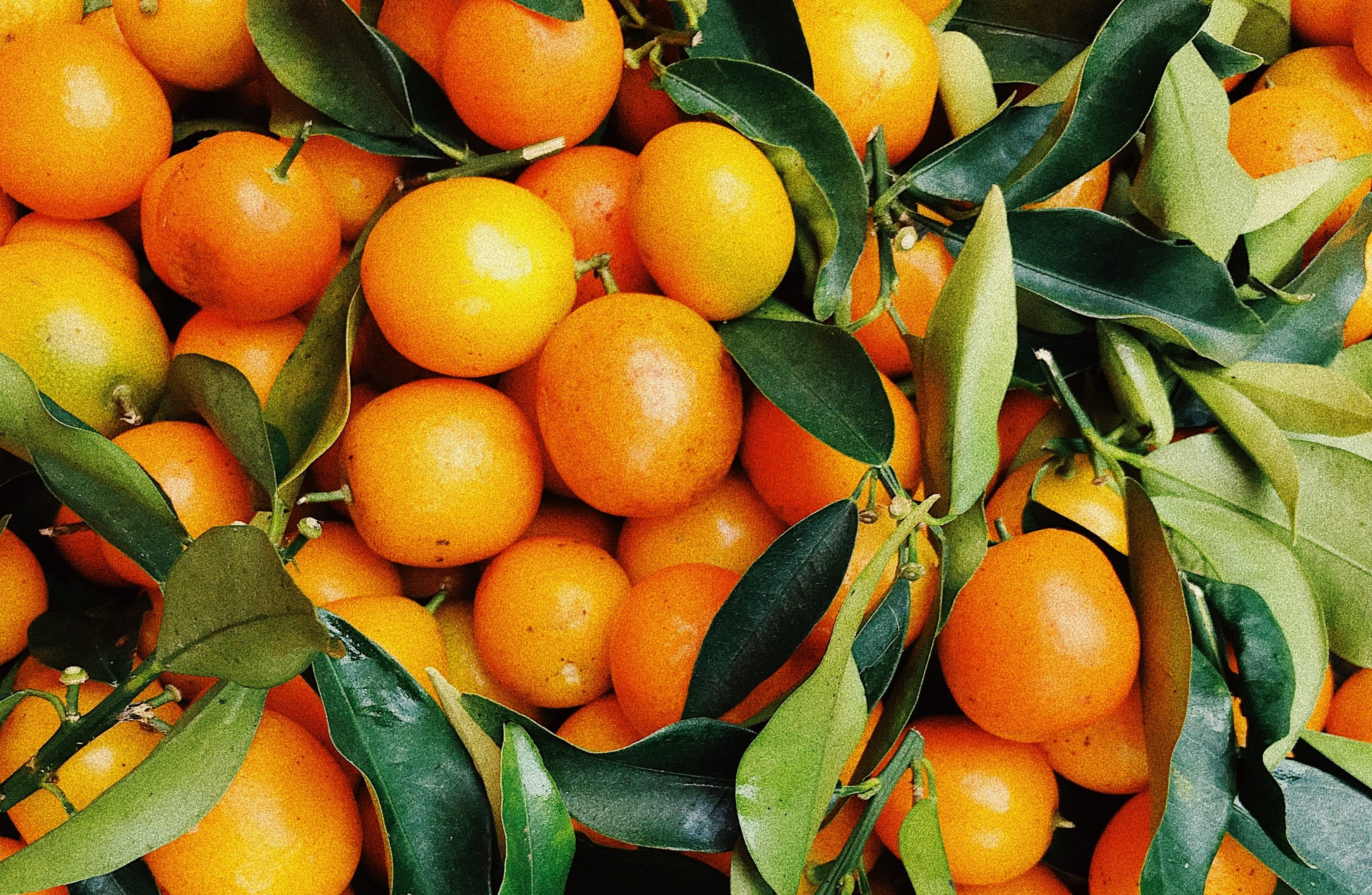 Wie is zijn sinaasappelen vergeten te persen in de Betuwe?