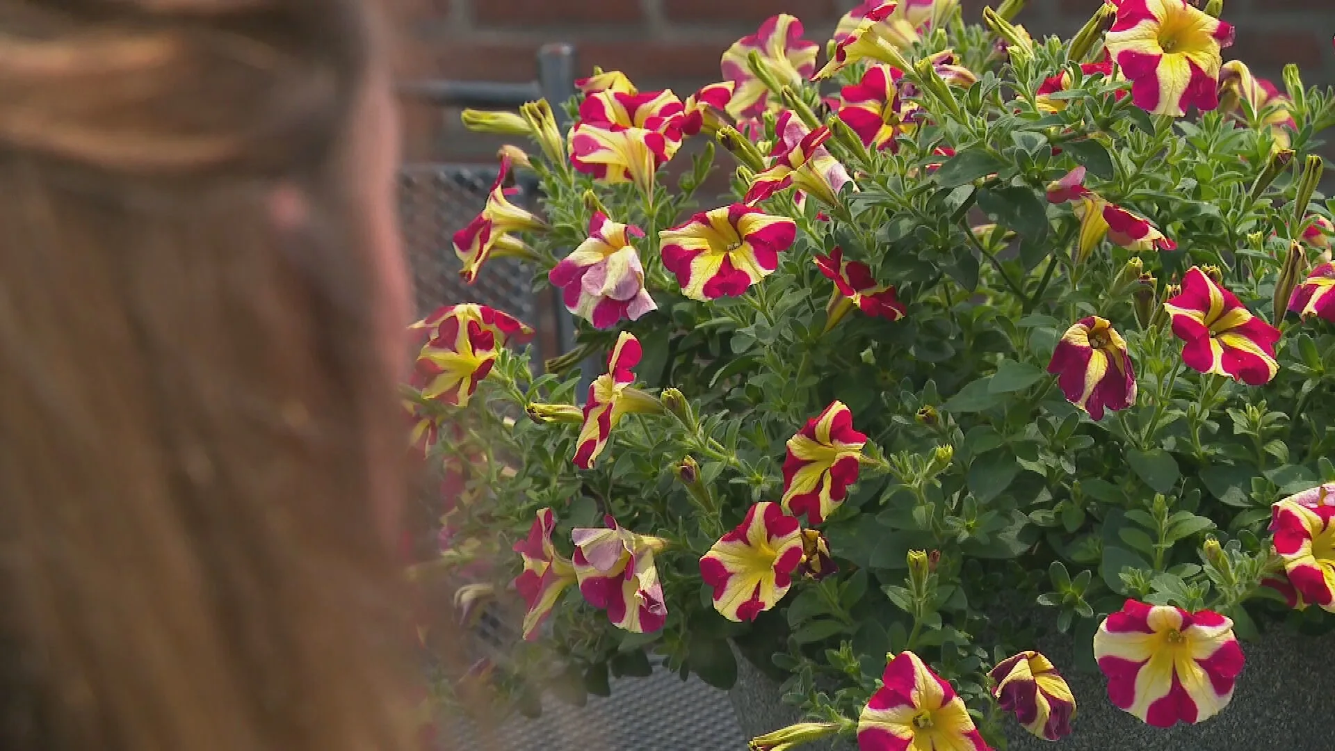 Marieke wil haar kinderen ’absoluut niet' laten vaccineren tegen corona