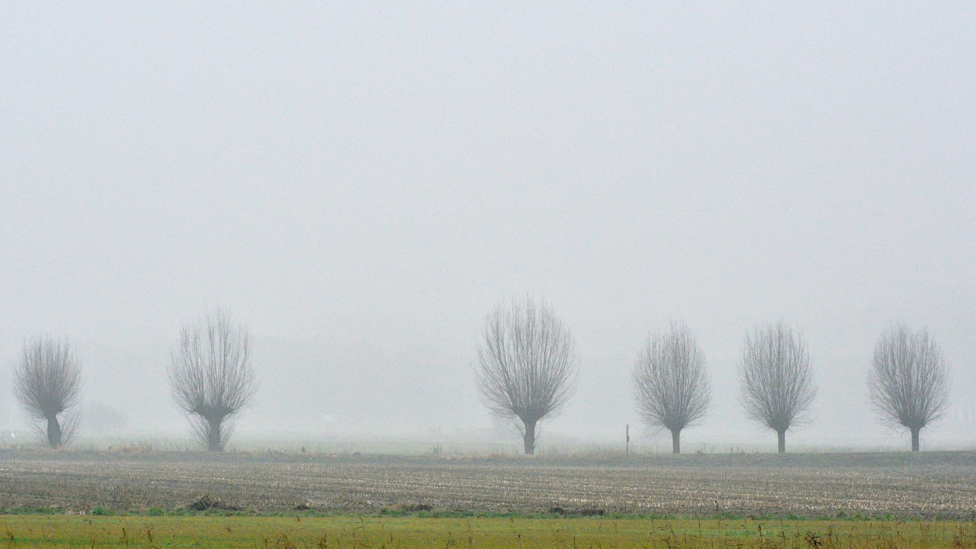 KNMI waarschuwt voor dichte mist en gladheid, meerdere aanrijdingen