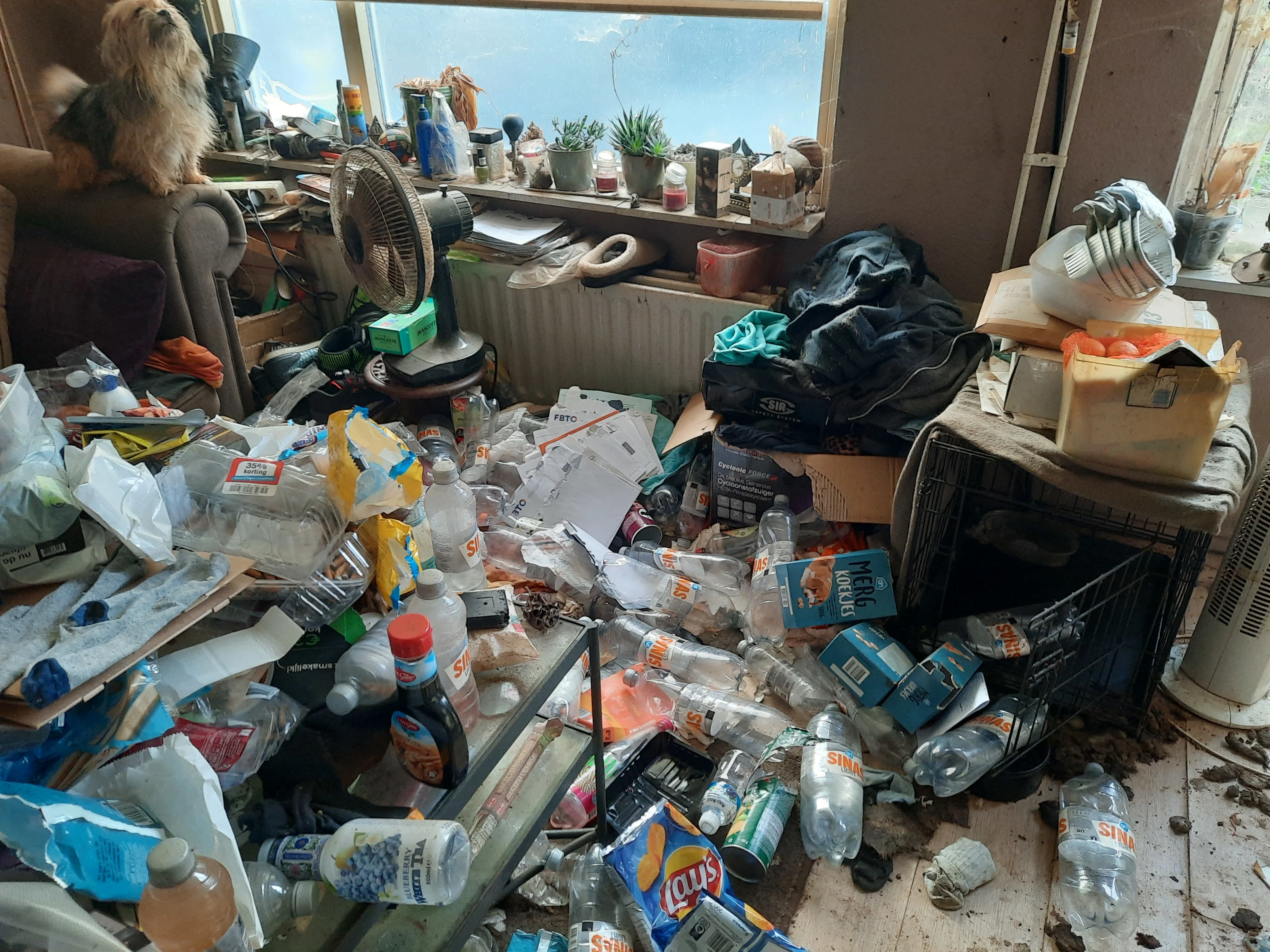 Honden leven in zeer vervuilde woning in Lelystad, vijf dieren in beslag genomen