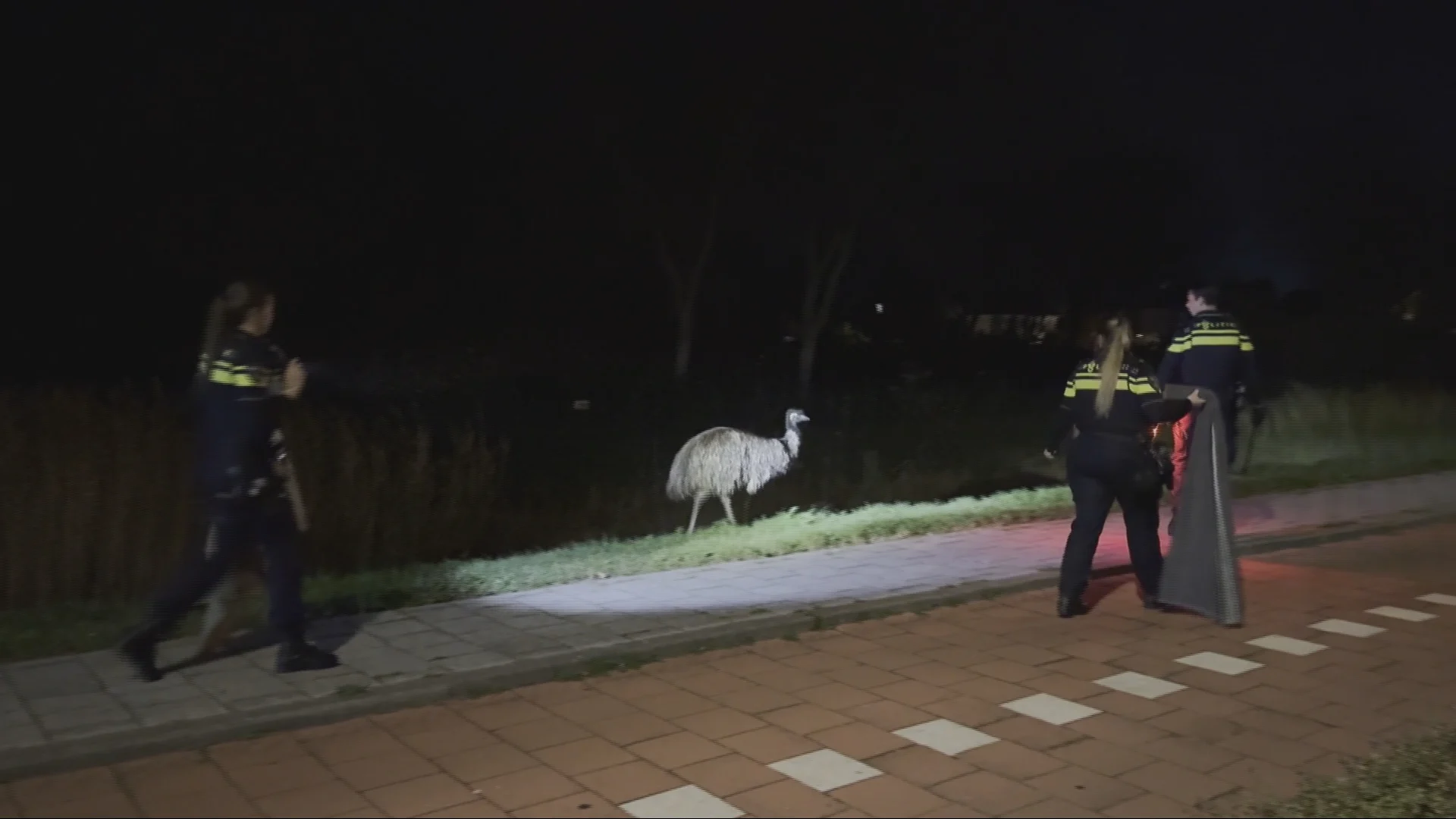 ZIEN: Emoe op zoek naar partner zet Katwijk op stelten