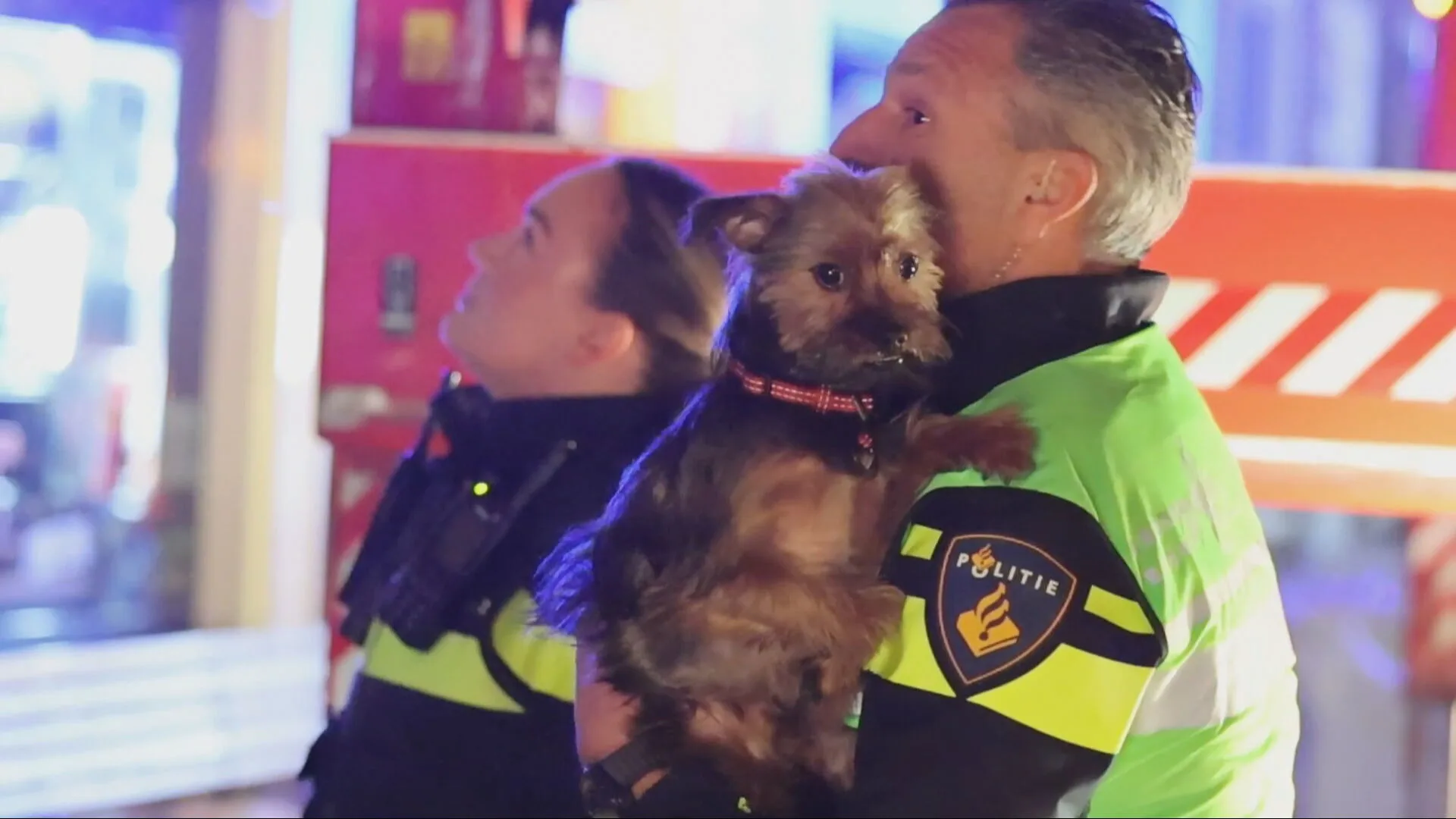 Grote woningbrand in Delft, bewoners en hondje geëvacueerd 