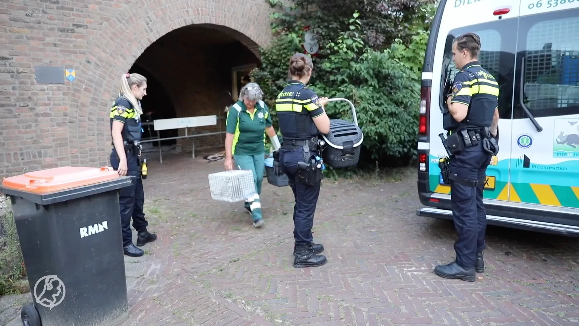 Twee katten en elf kittens gered uit zwaar vervuilde woning in Baarn