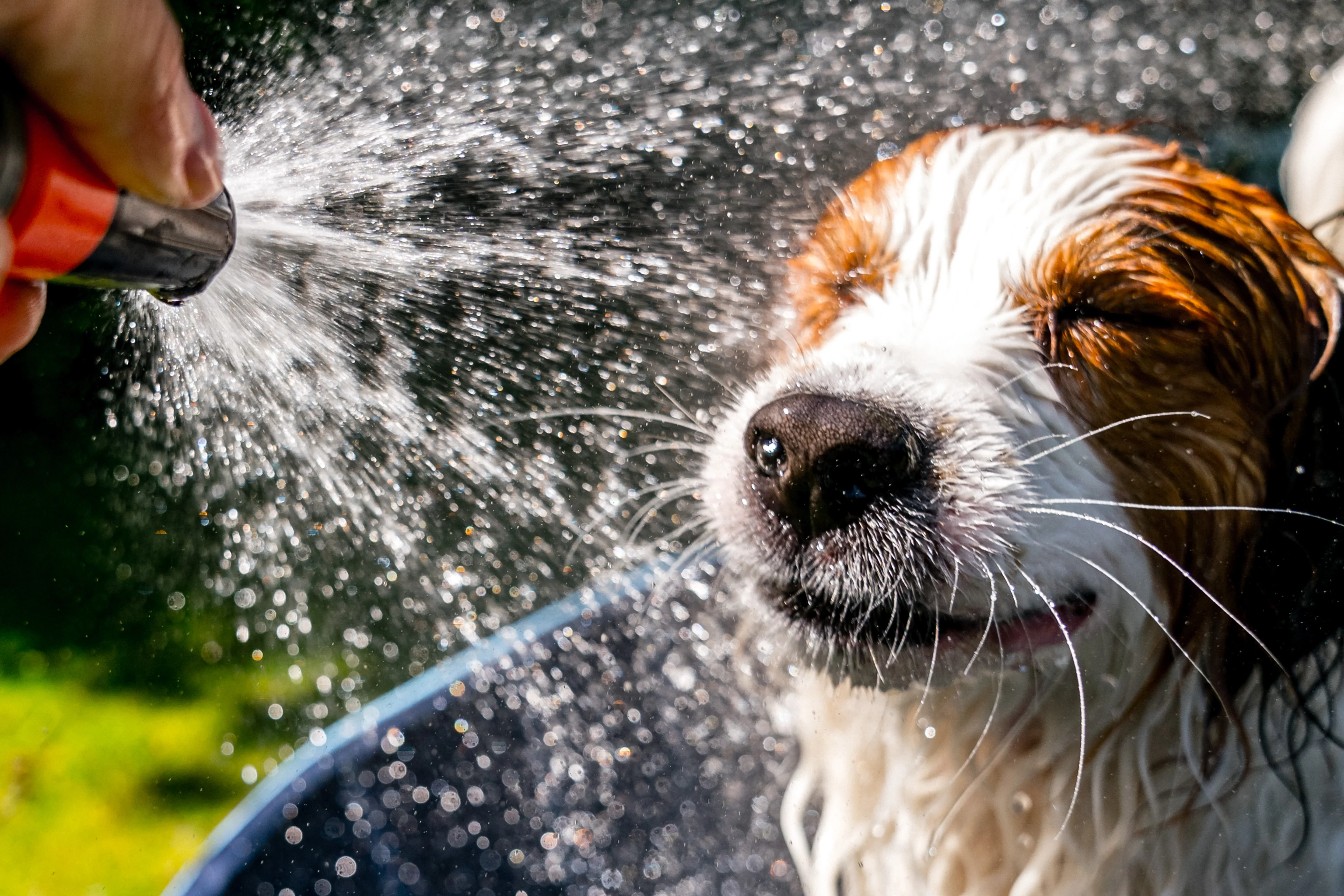 Even wat koeler, maar volgende week kans op hittegolf