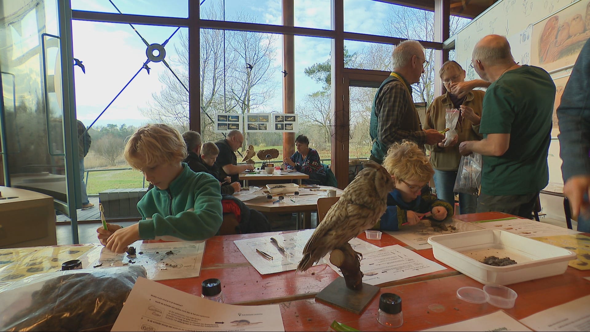 Niet fris, wel leerzaam: op deze kerstmarkt pluizen kinderen braakballen