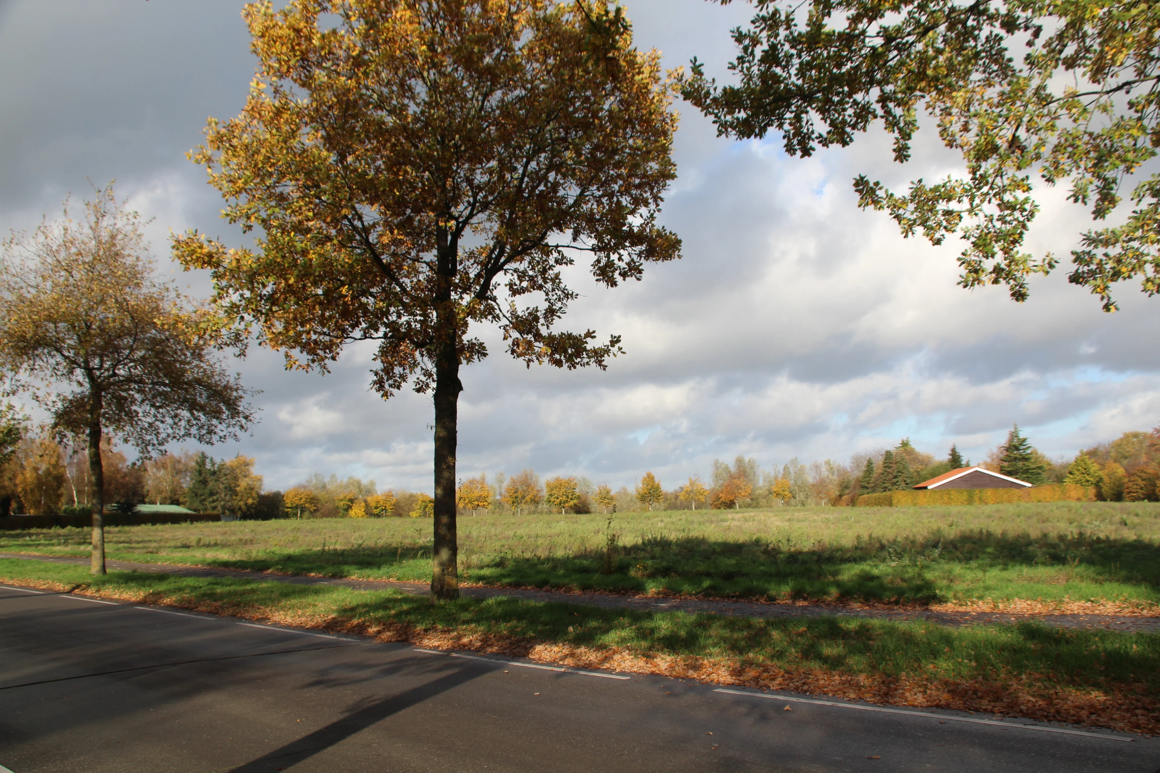 Warm en nat herfstweer in aantocht dit weekend