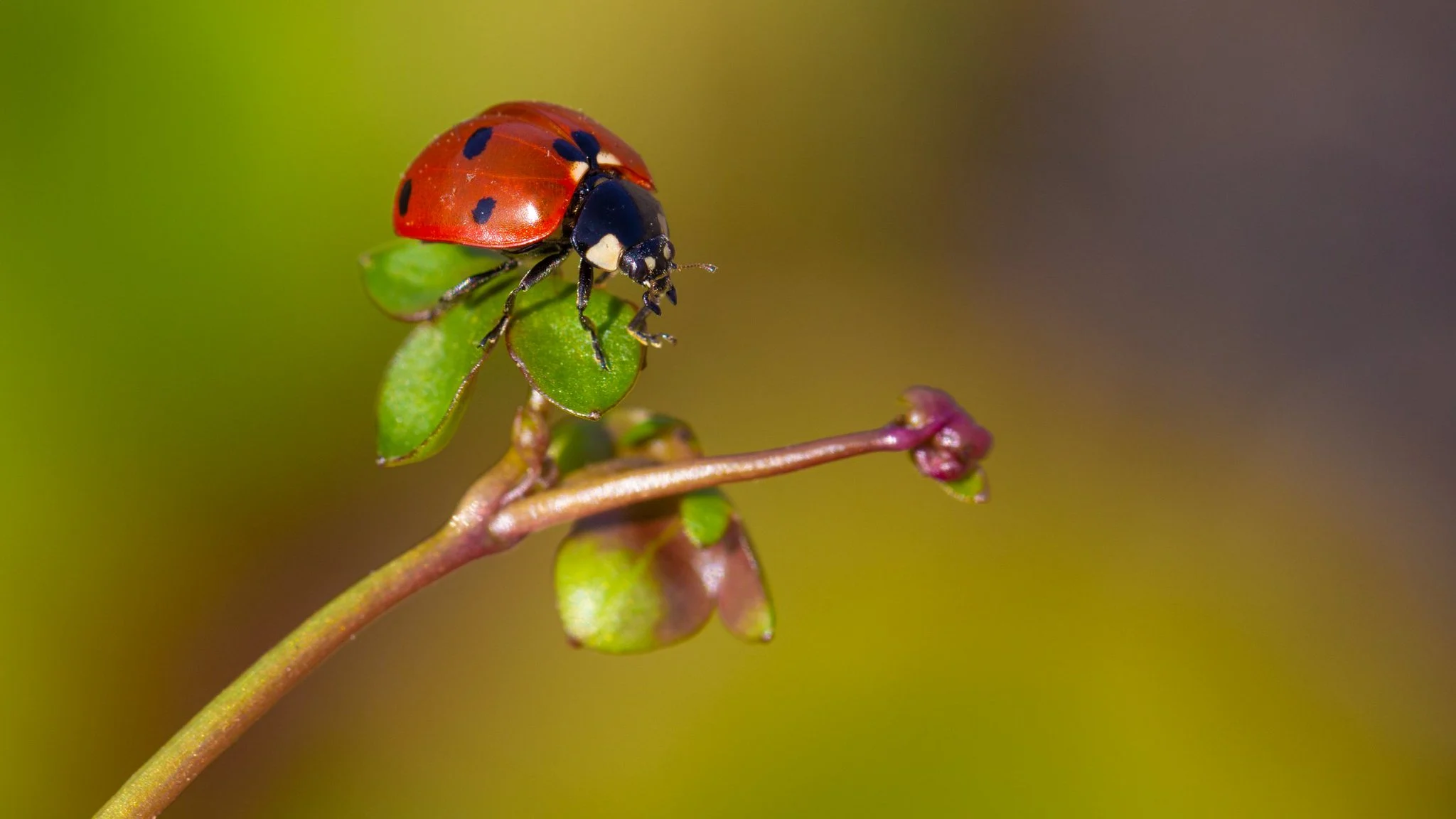 'Paasweekend wordt fris en guur'