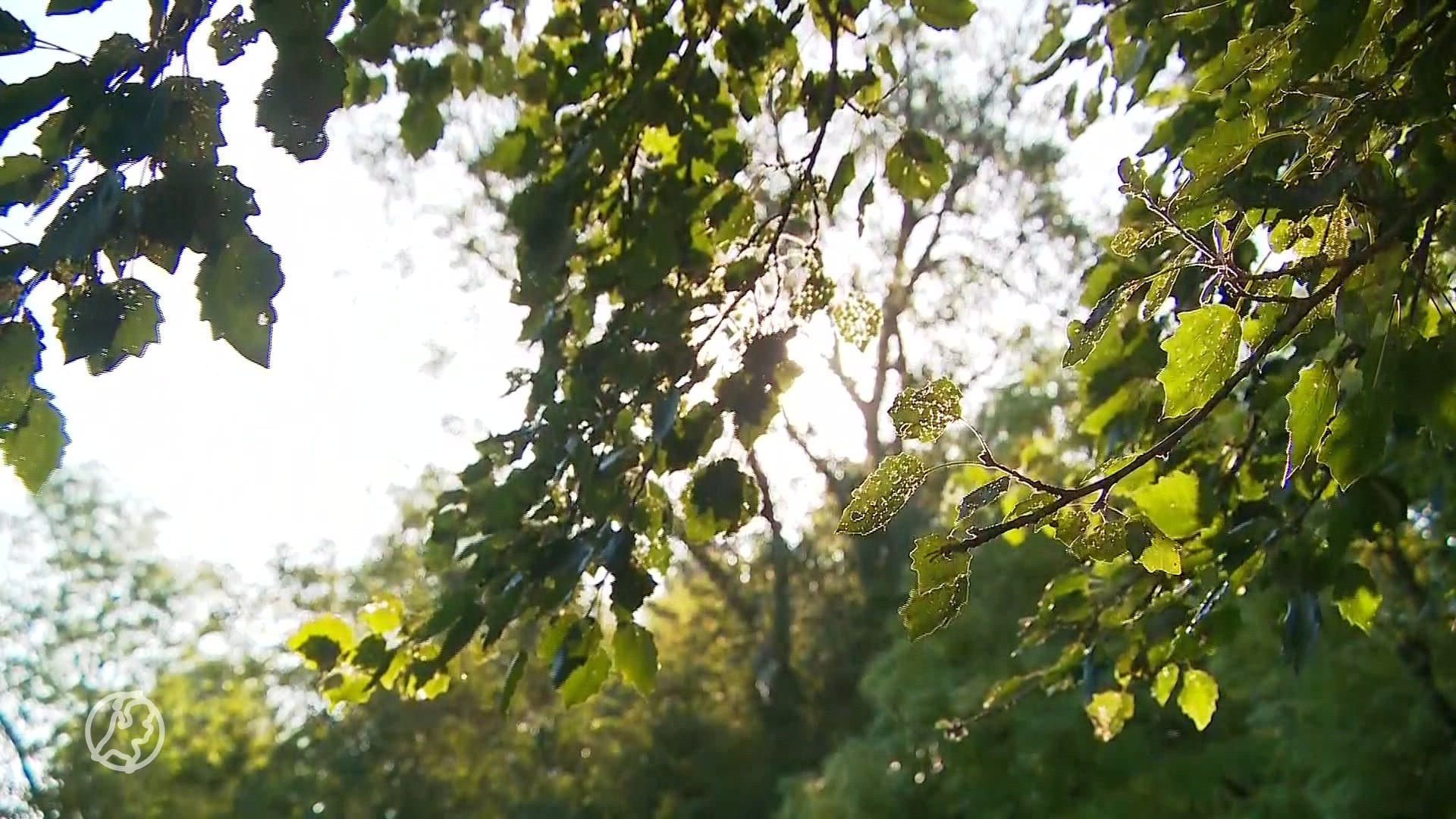 Bert maakt al ruim dertig jaar openbare peuterbadjes schoon