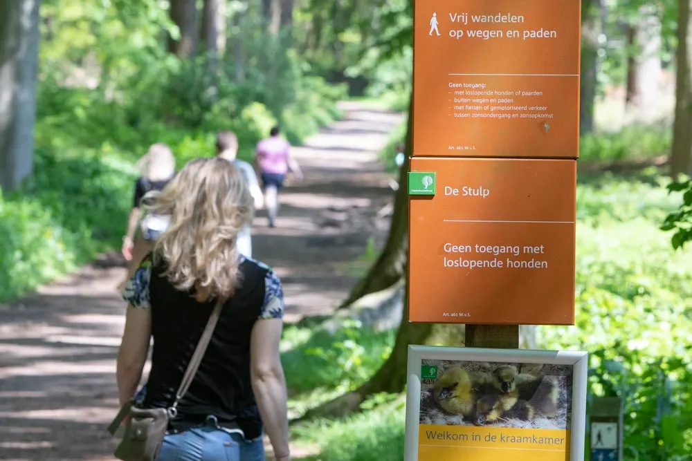 Boa onder de voet gelopen door paard, ruiter kiest hazenpad