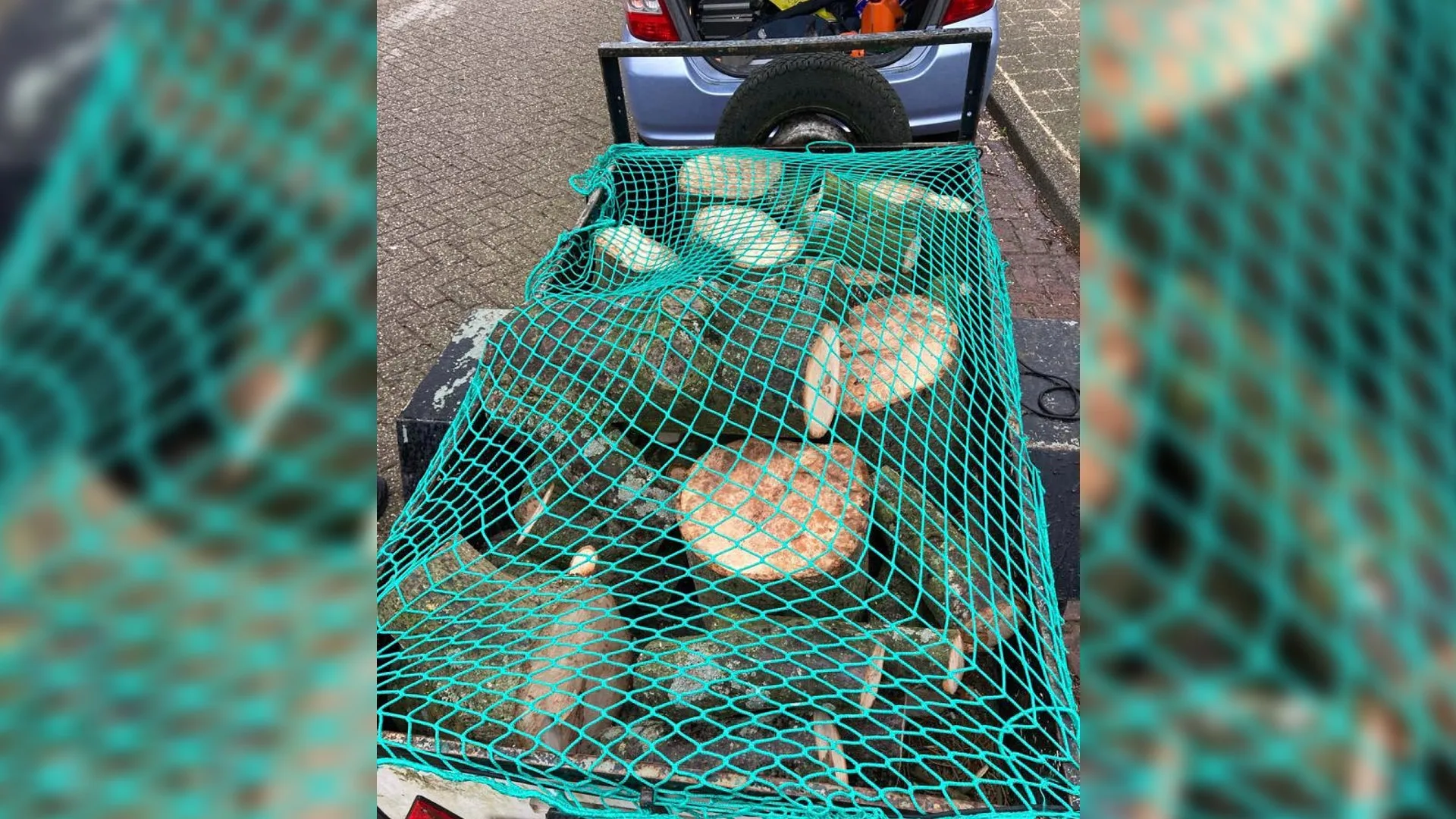 Handhaving 'slaat plank mis' bij aanhouding persoon met gestolen hout