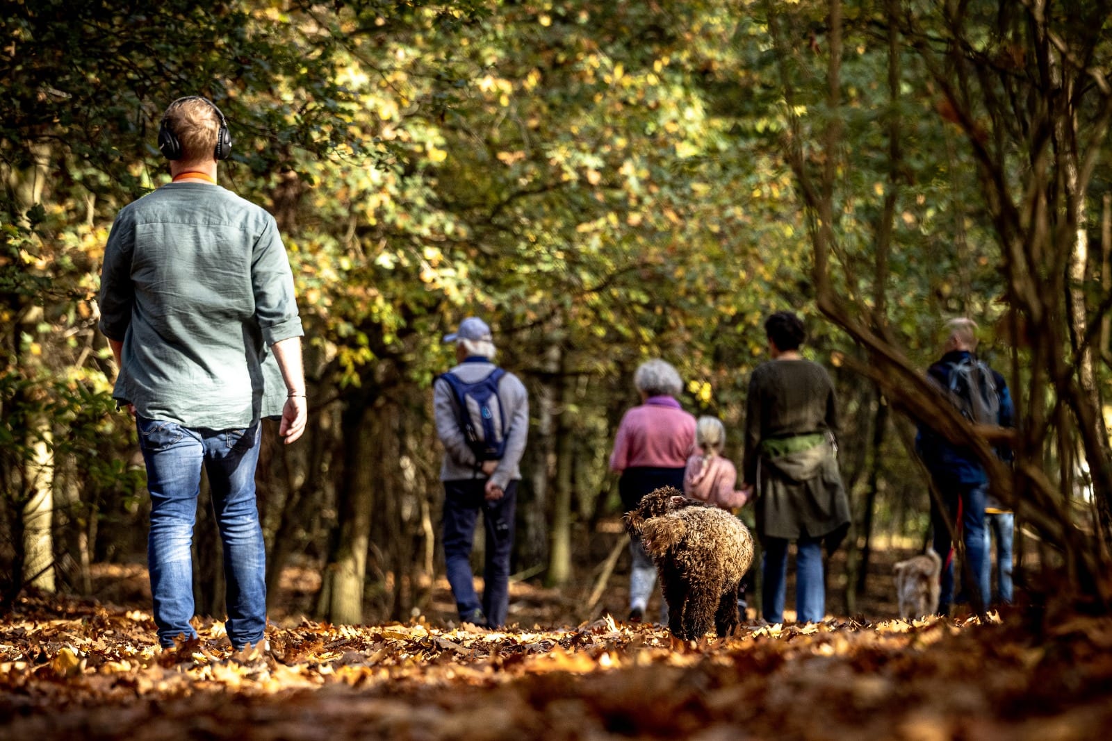 Dat wordt wennen: volgende week 12 graden kouder