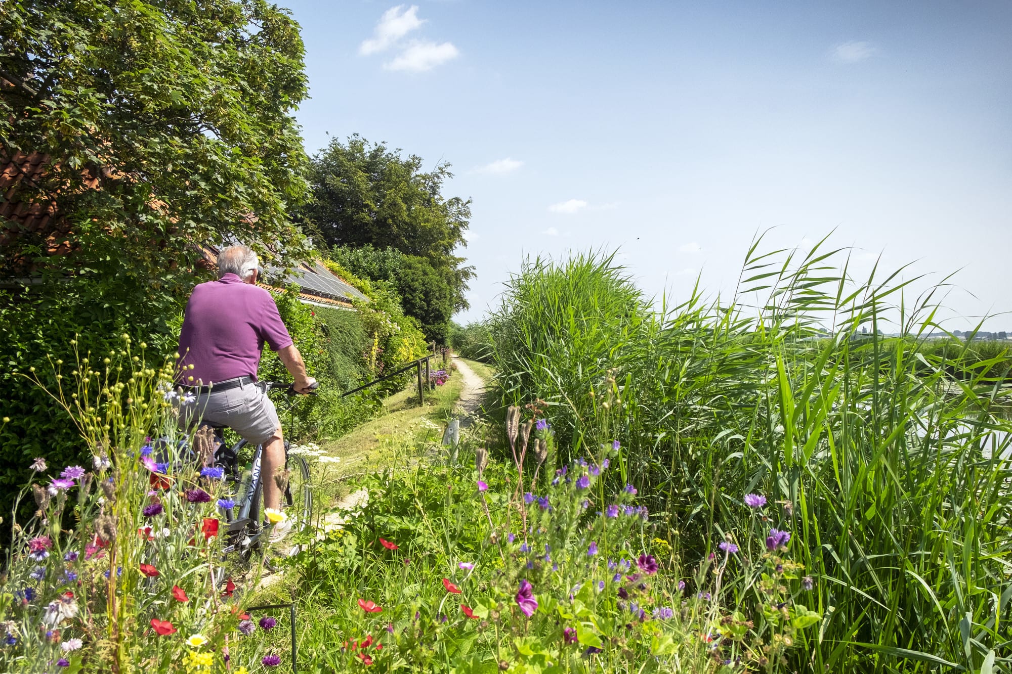 We zijn 13 procent minder gaan fietsen in de coronacrisis