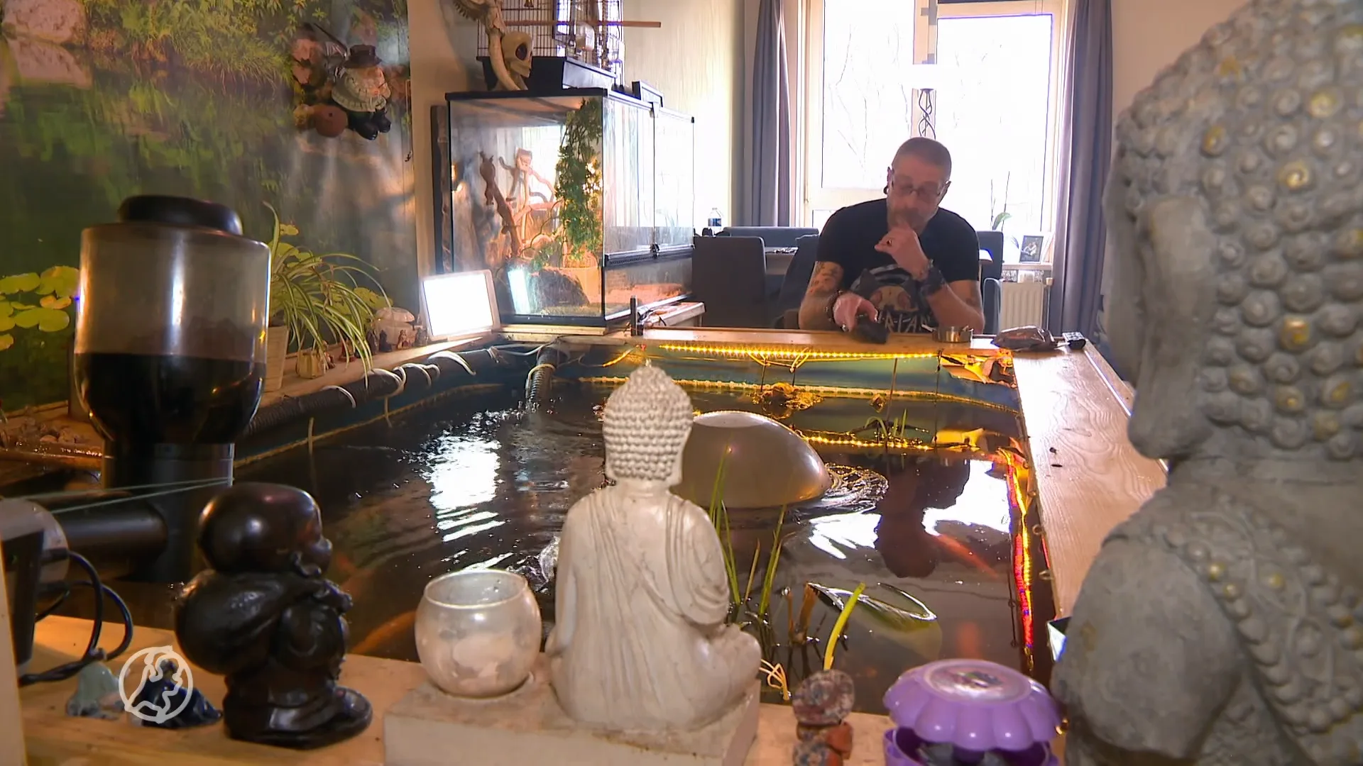 Gerry moet de vijver in zijn woonkamer nu toch echt afbreken: 'Mijn kindje wordt vermoord'