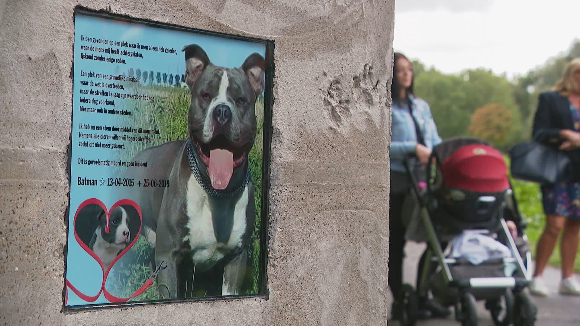 Overleden gedumpte hond Batman krijgt 'hufterproof'-monument in Rijswijk