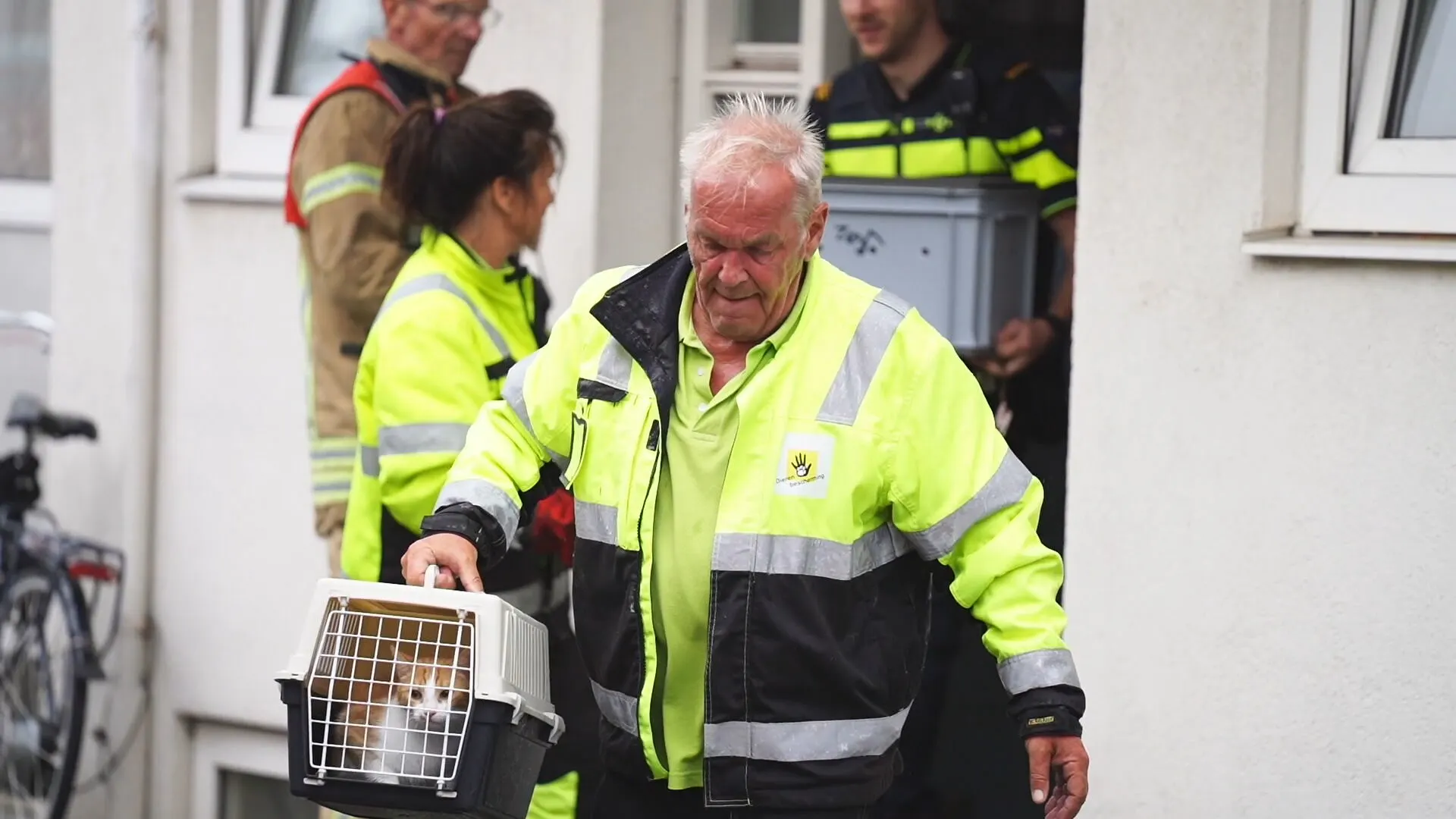 Drie chinchilla's overleden bij brand Rotterdam, brandweer redt vier katten en twee konijnen