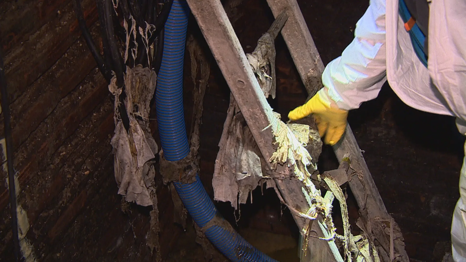 Vochtige doekjes verstoppen ons riool: 'Je ziet hele bossen hangen'