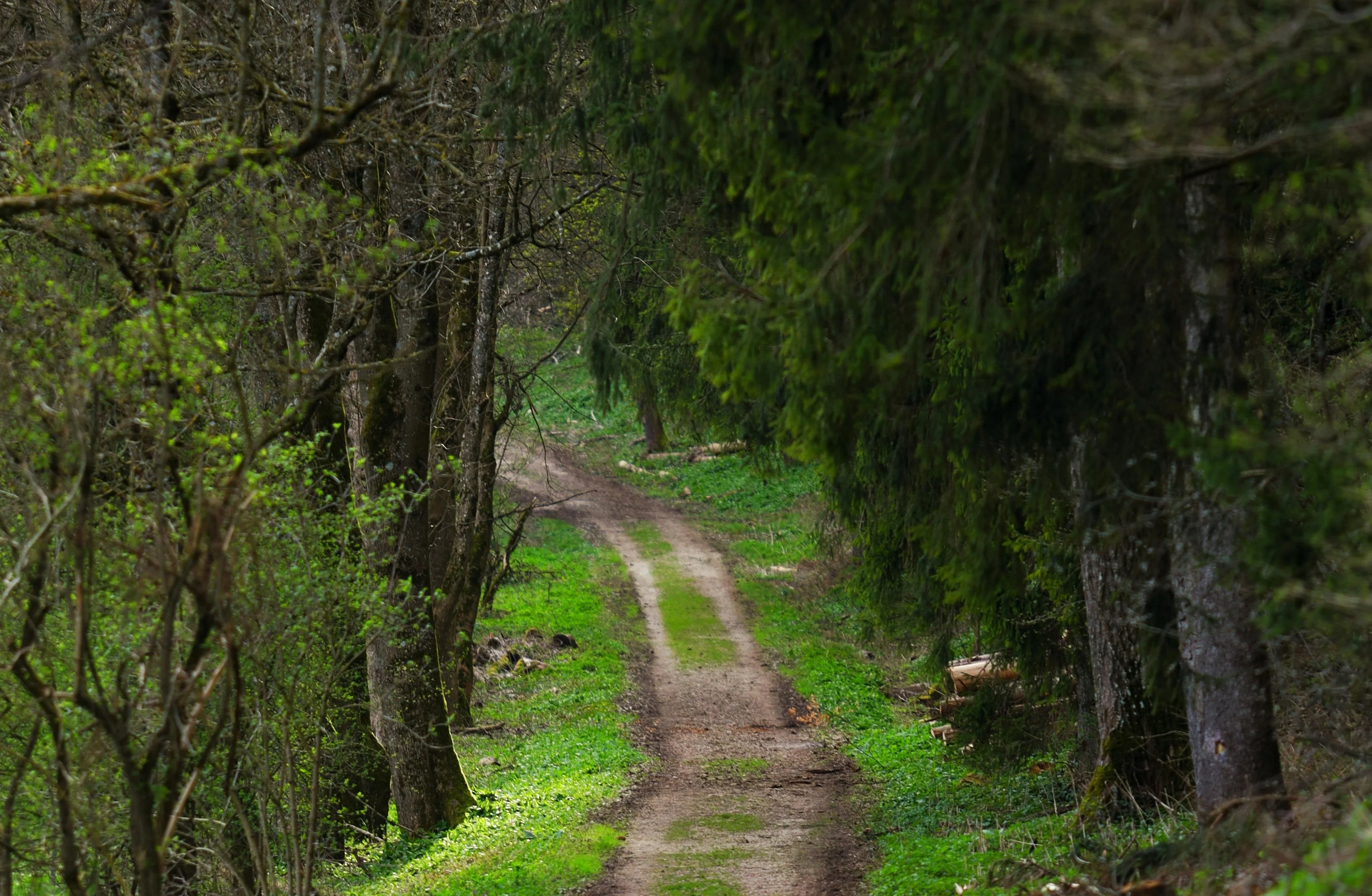 Man heeft date in bos in Almere, maar wordt beroofd door drie tieners