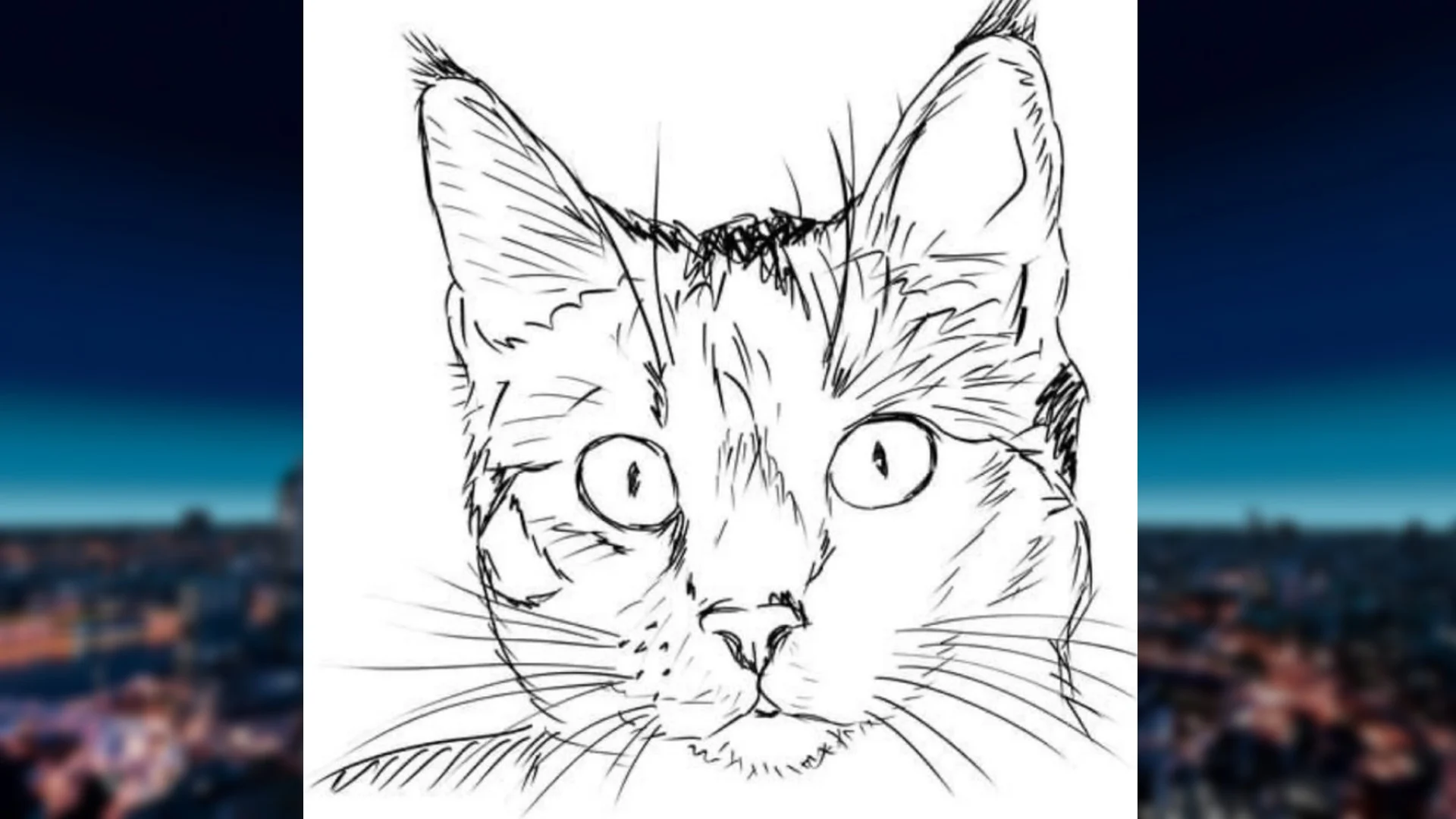 Apeldoorn geteisterd door kattenschutter: ook kater Ivy zwaar toegetakeld