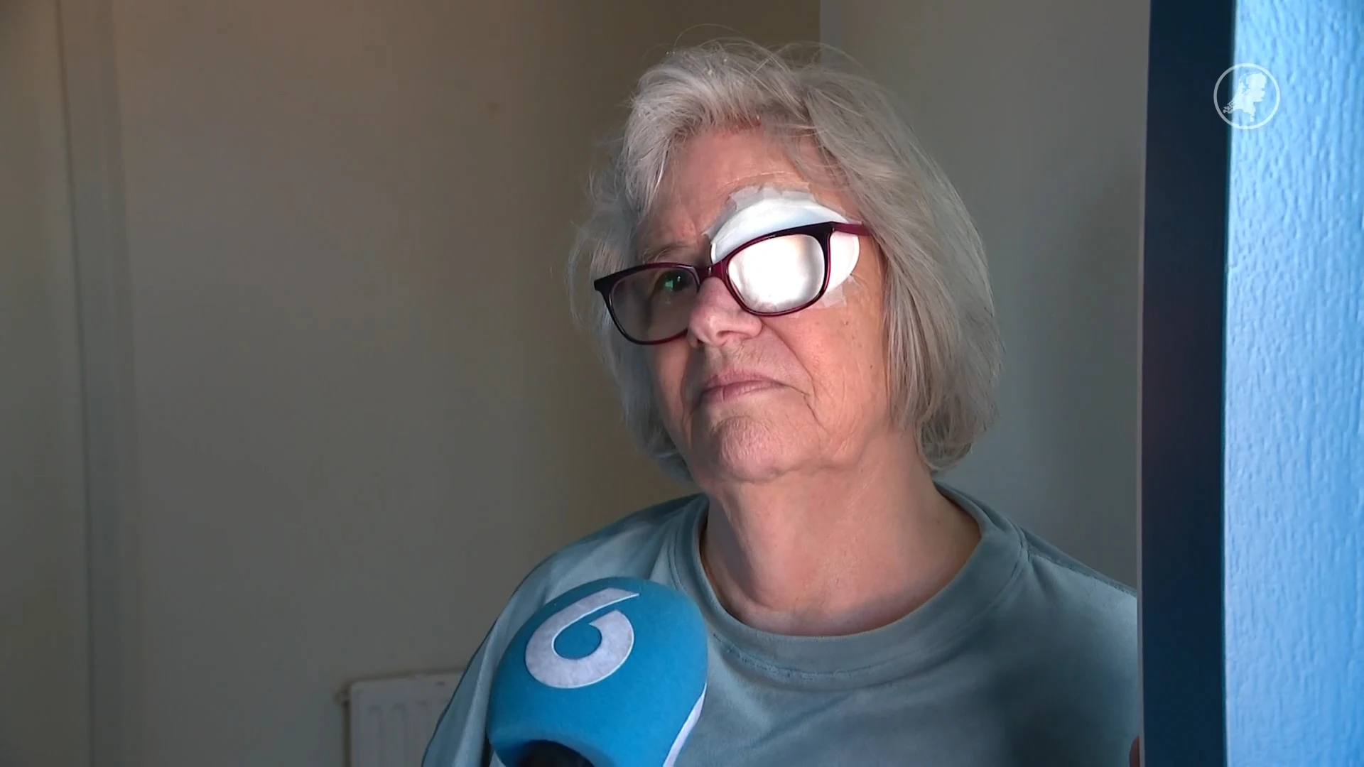 Buren in Borne in shock na vondst dode vrouw: 'Ik hoorde gegil en geschreeuw'