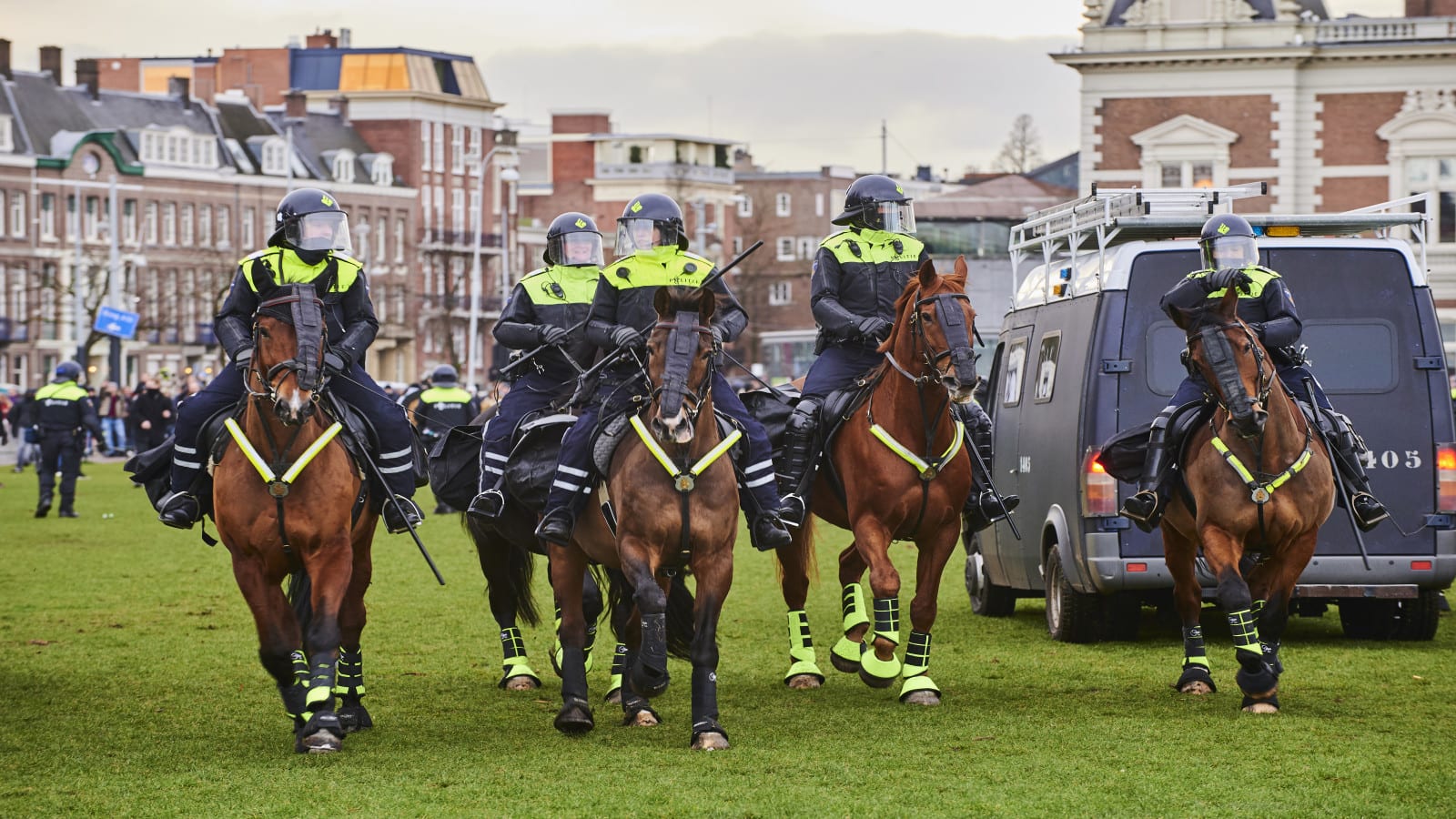 Meerderheid Nederlanders wil dat politie stopt met inzet paarden bij risicovolle demonstraties