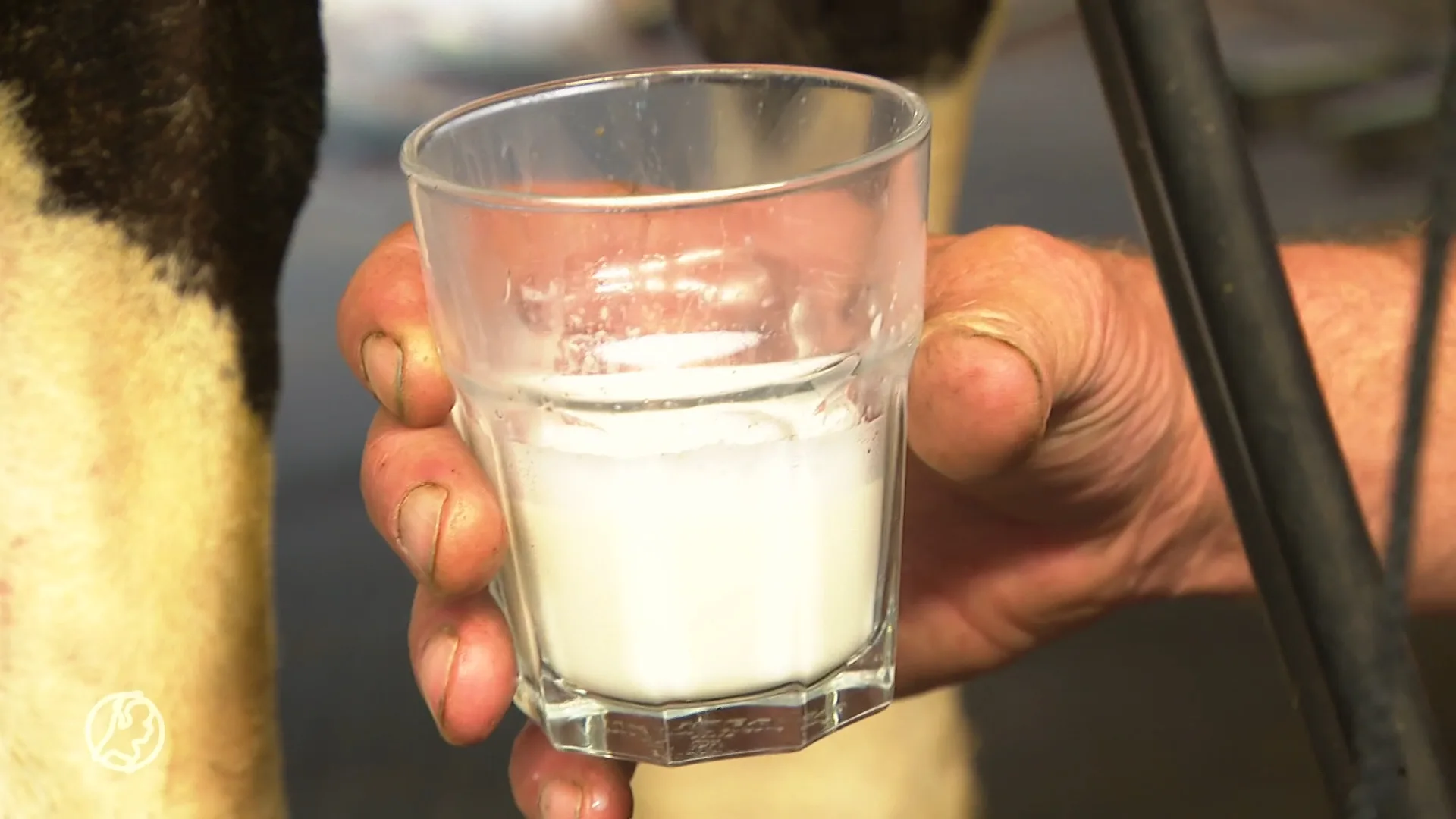 Melktappunt onder druk: strenge regels maken melk fors duurder