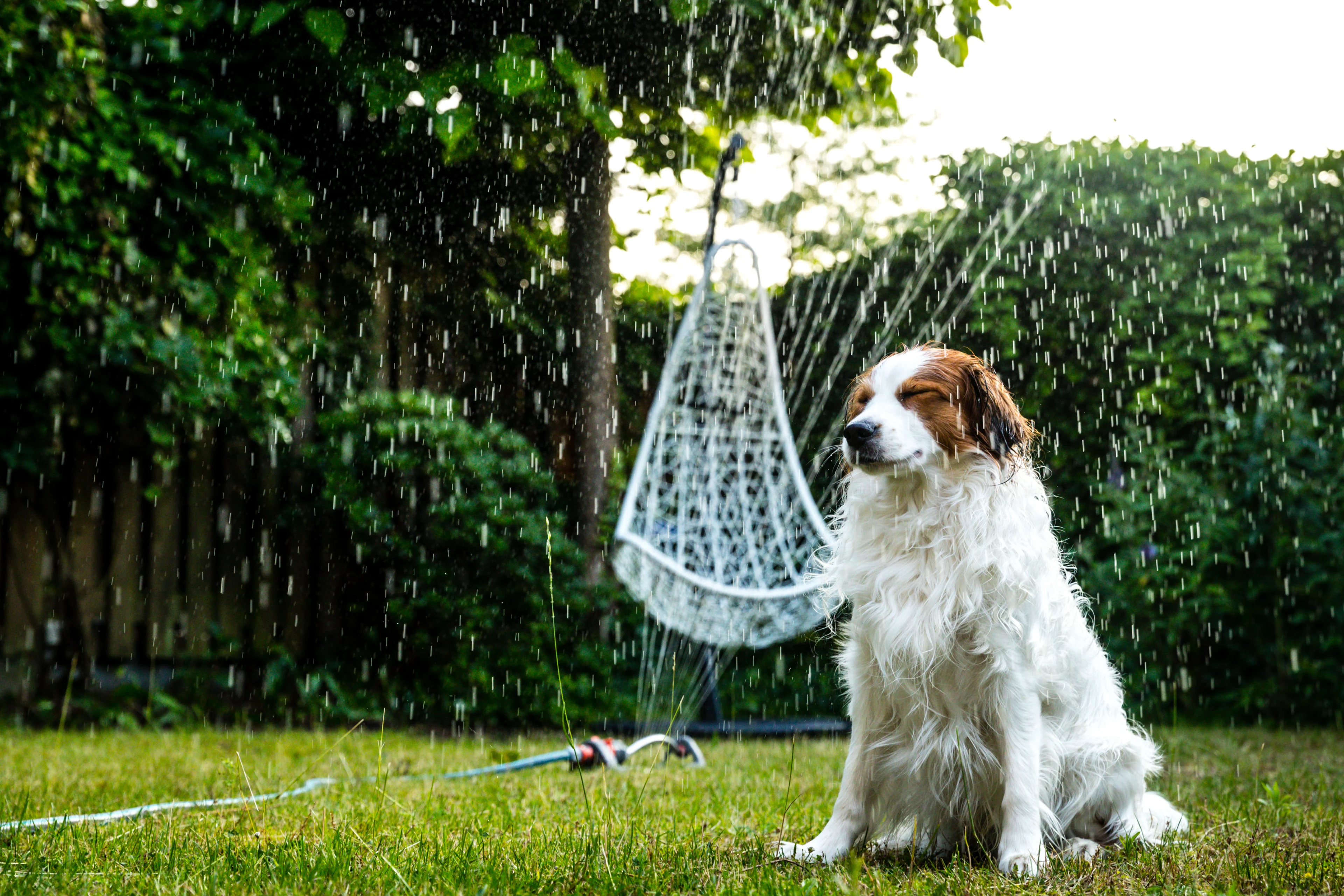 Minder water uit de kraan door waterverbruik: 'Sproei niet en vul geen zwembadje'