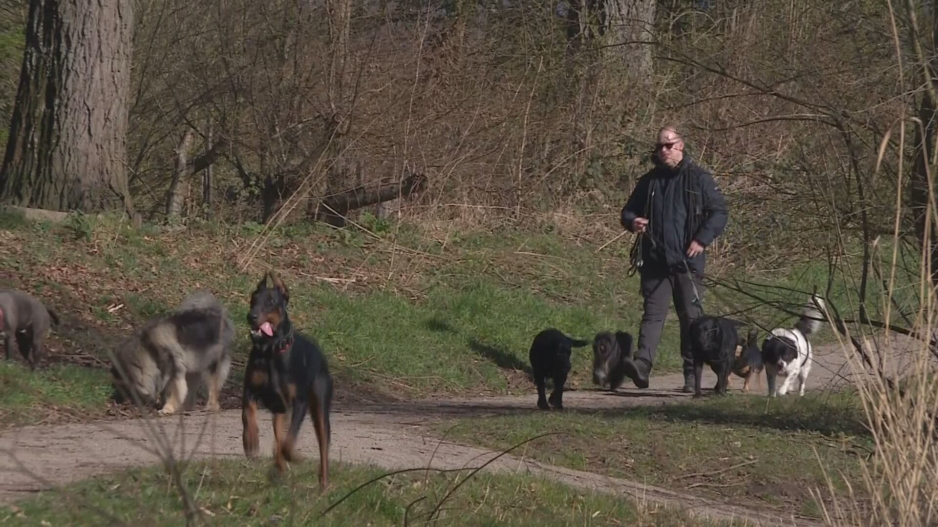 Hondenbaasjes vangen bot bij uitlaatservices: 'Nog nooit zoveel aanmeldingen gehad'