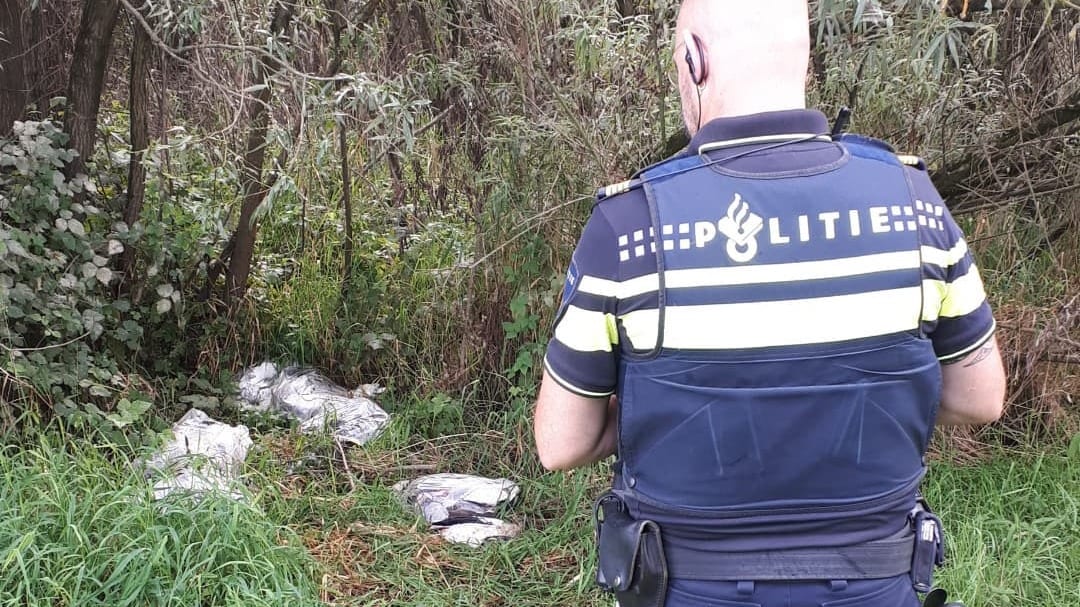 Twintig dode ganzen in vuilniszakken gedumpt: 'Wereld wordt steeds verrotter'