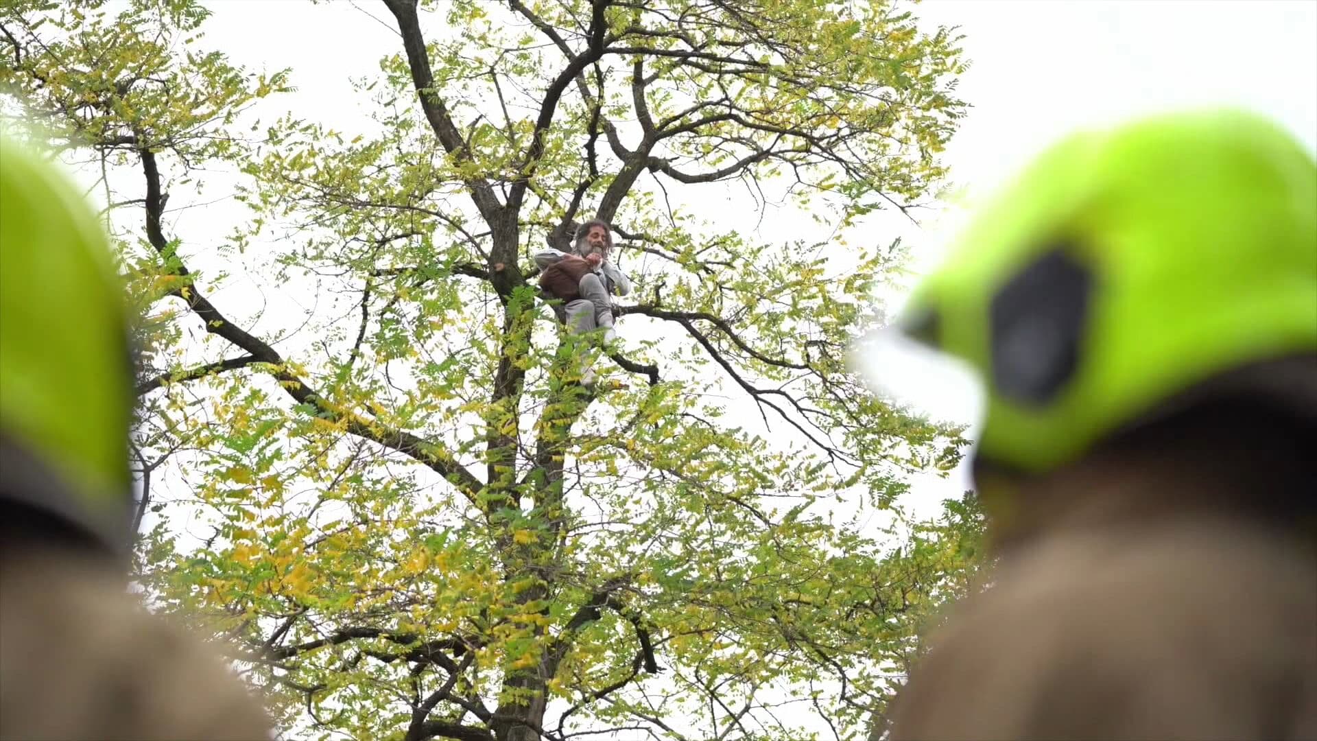 VIDEO: Arrestatieteam haalt volhardende betoger uit boom in Rotterdam