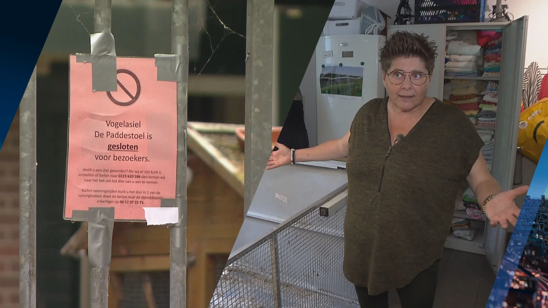 Vogelopvang in de nesten na enorme schade aan pand: 'Met zijn allen traantje gelaten'