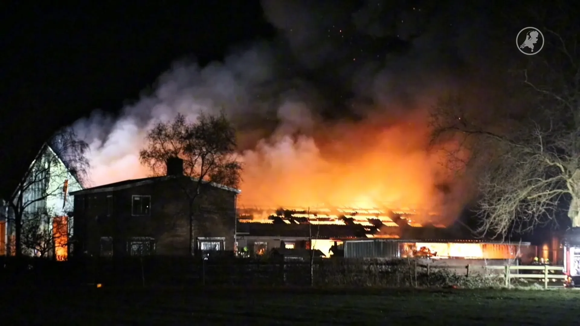 Heftige brand in Herwijnen: schapen dood, koeien gewond