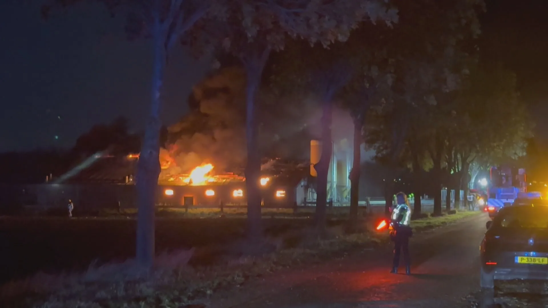 Honderden varkens dood door grote stalbrand in Limburgse Susteren