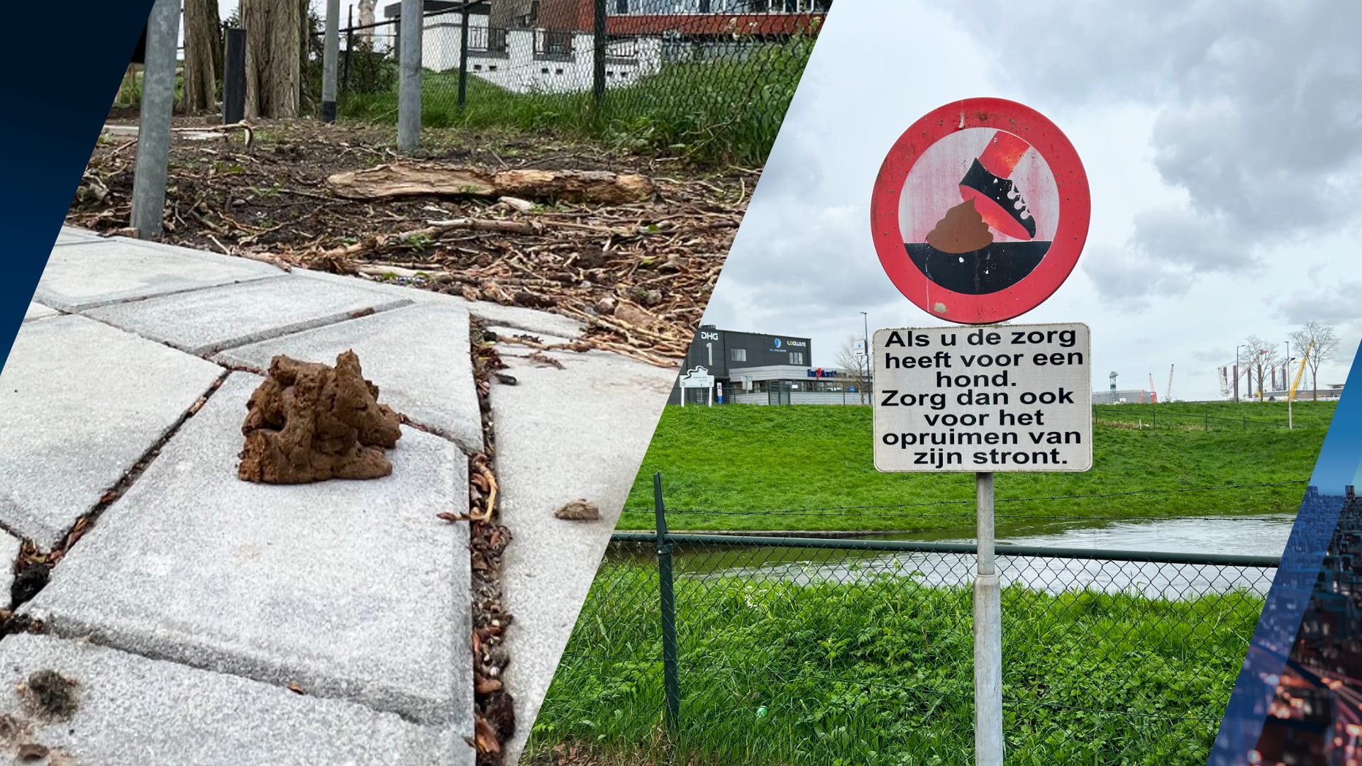 Ruzie om hondendrollen loopt uit de hand: 'Ik heb de deur bewerkt met poep'