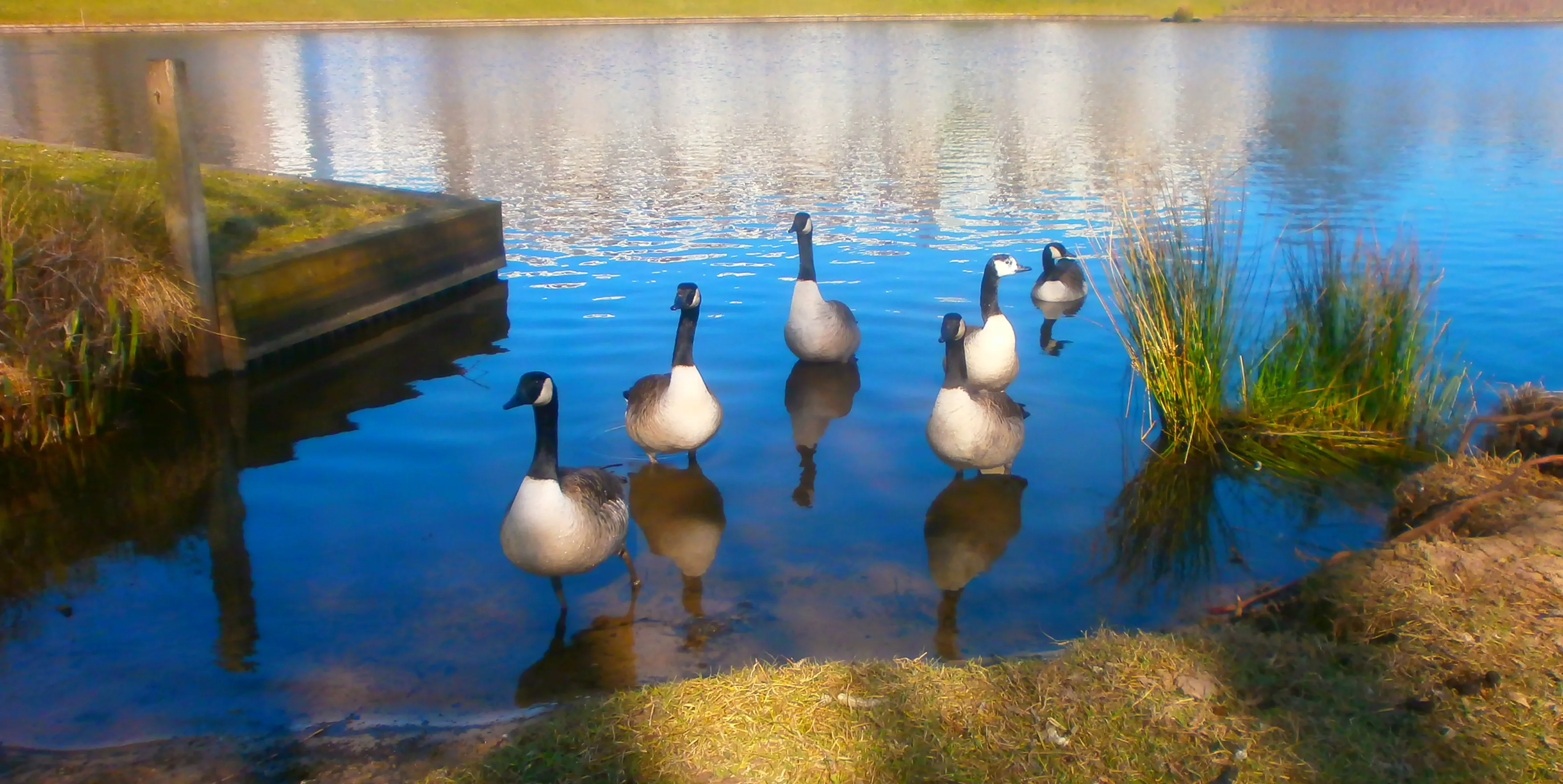 De lente is begonnen (maar de winter staat voor de deur)