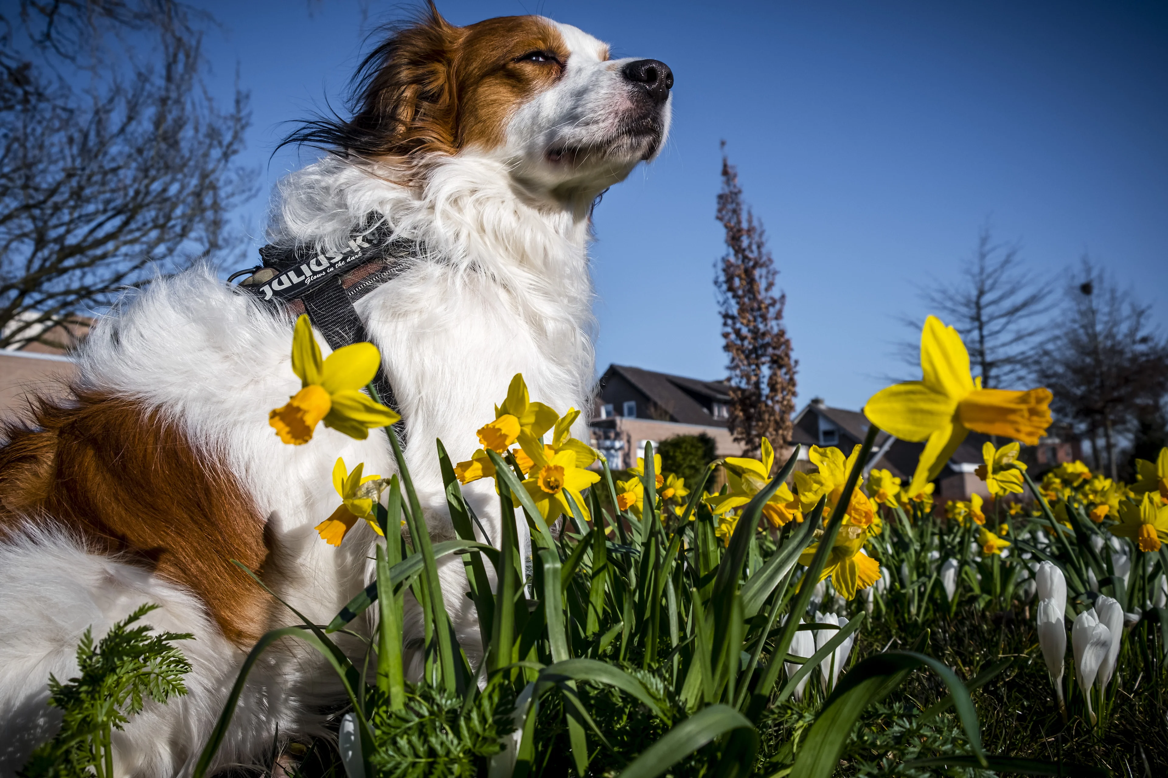 Zon en wolken wisselen elkaar af, ook na hittegolf blijft het lekker warm