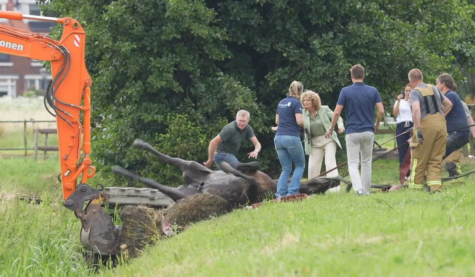 Paard urenlang vast in sloot, brandweer en graafmachine schieten te hulp