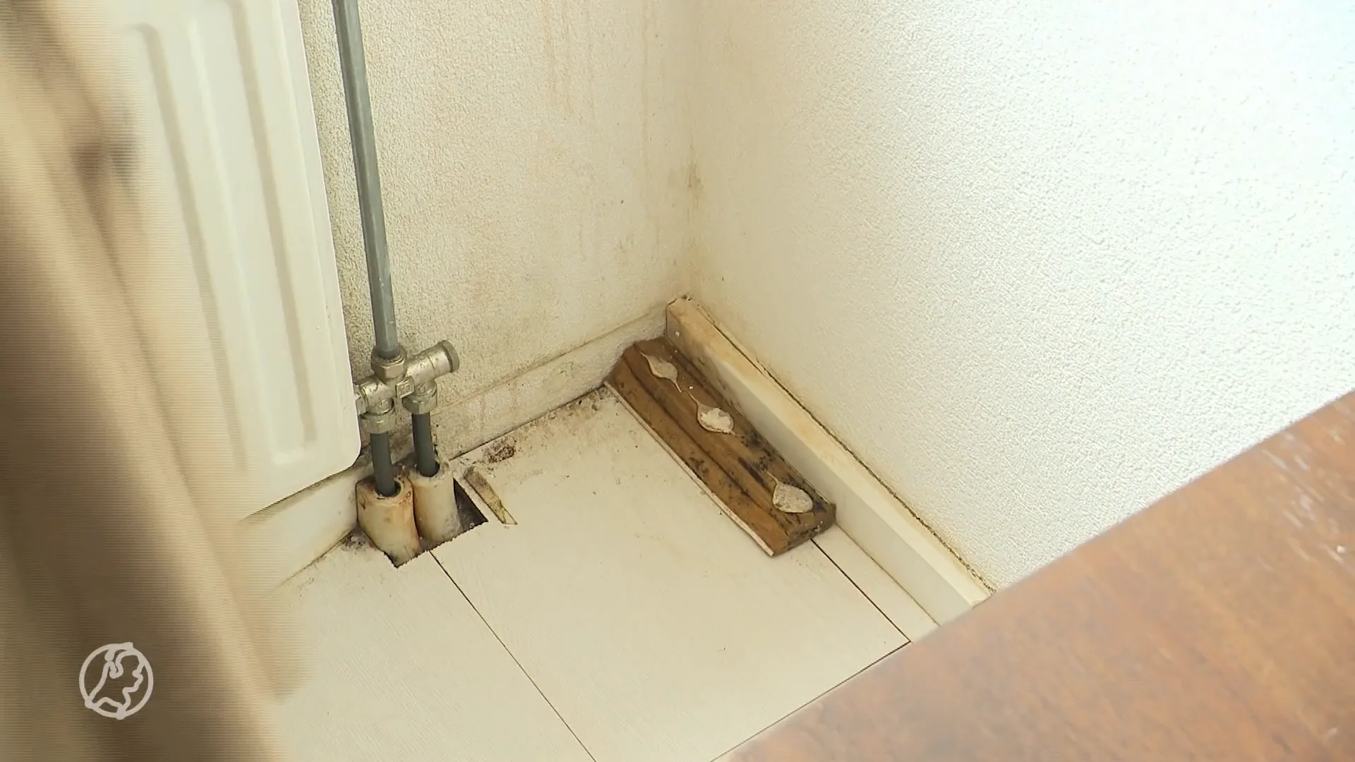 Schimmelplafonds en rioollucht: grote zorgen om gezondheid bewoners Rotterdamse buurt