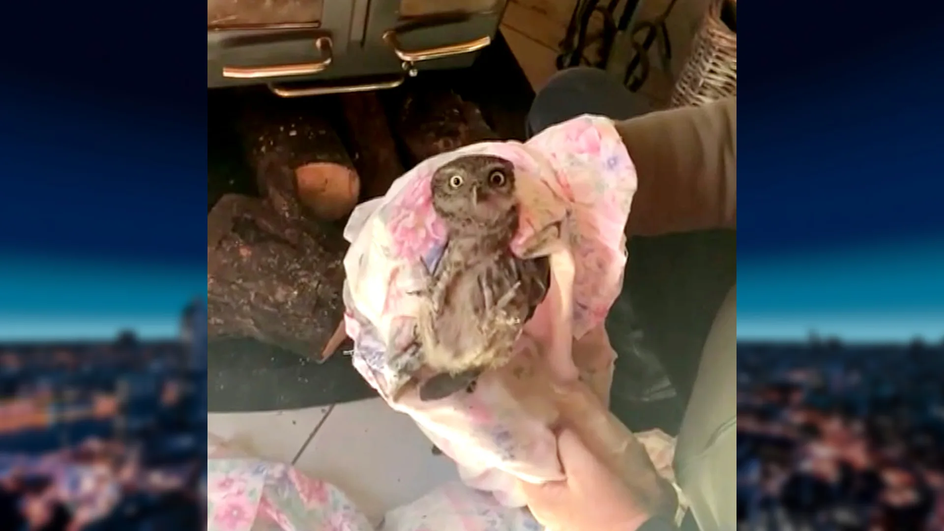 Heldhaftige Nico redt uiltje uit zijn brandende kachel