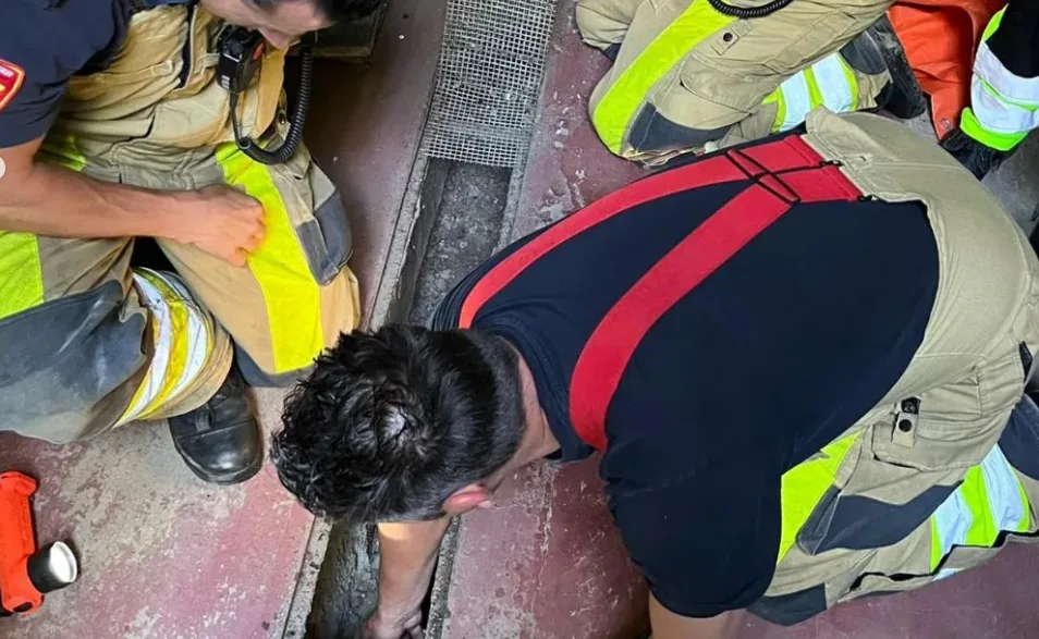 Brandweer redt eendjes uit waterafvoer in Geleen: eentje slecht aan toe